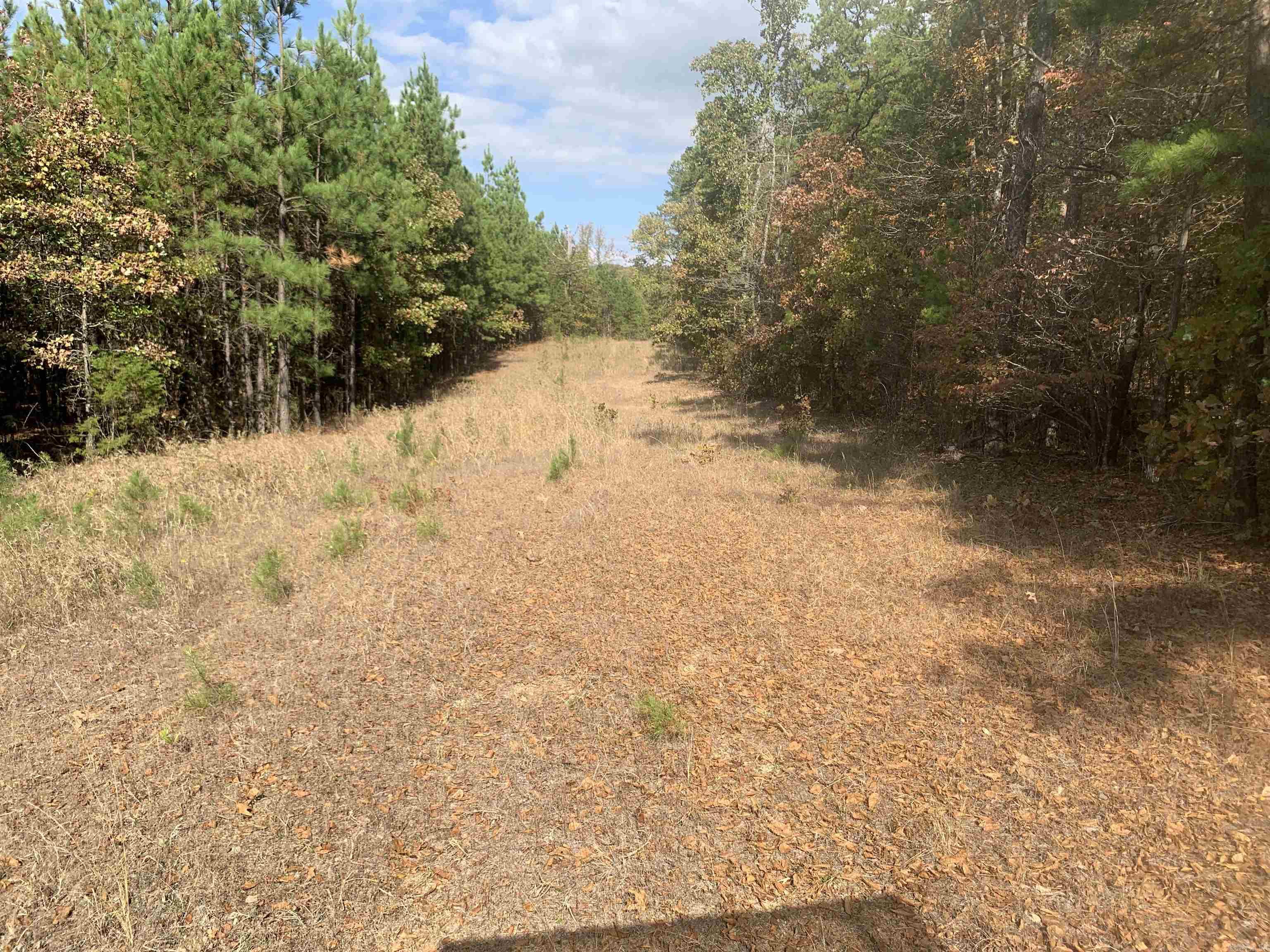 000  Old Dug Road  Bee Branch, AR