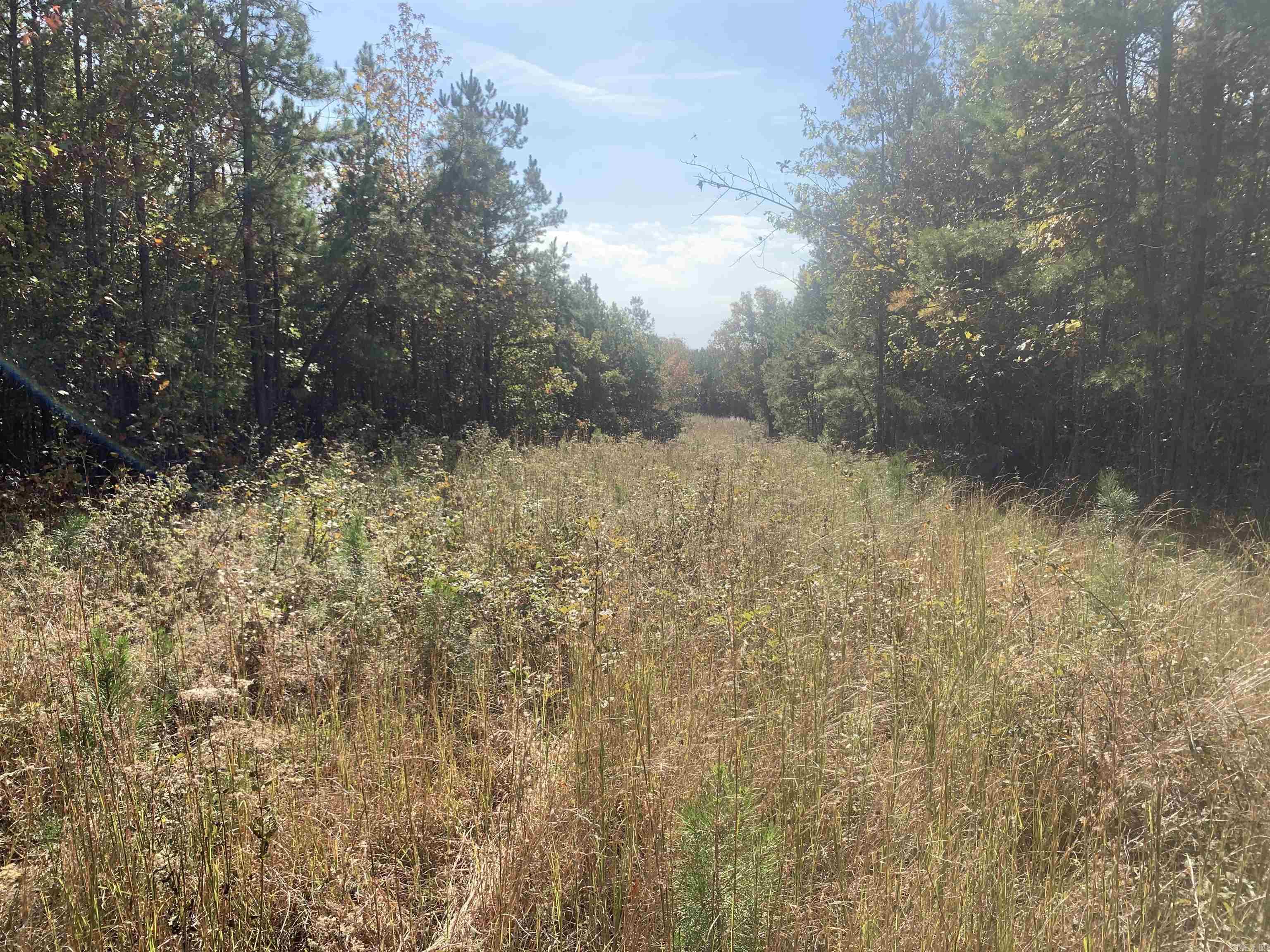000  Old Dug Road  Bee Branch, AR