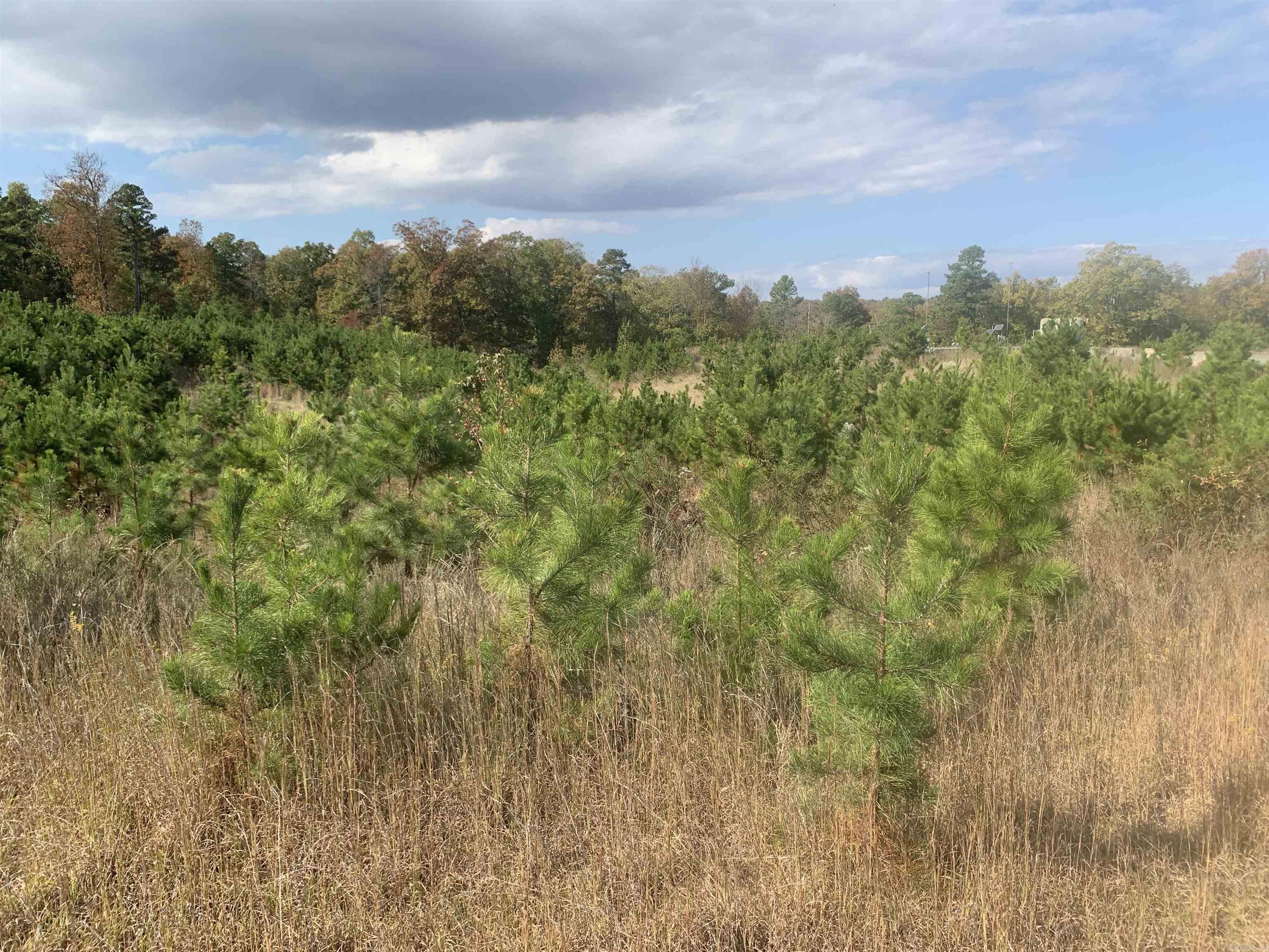 000  Old Dug Road  Bee Branch, AR