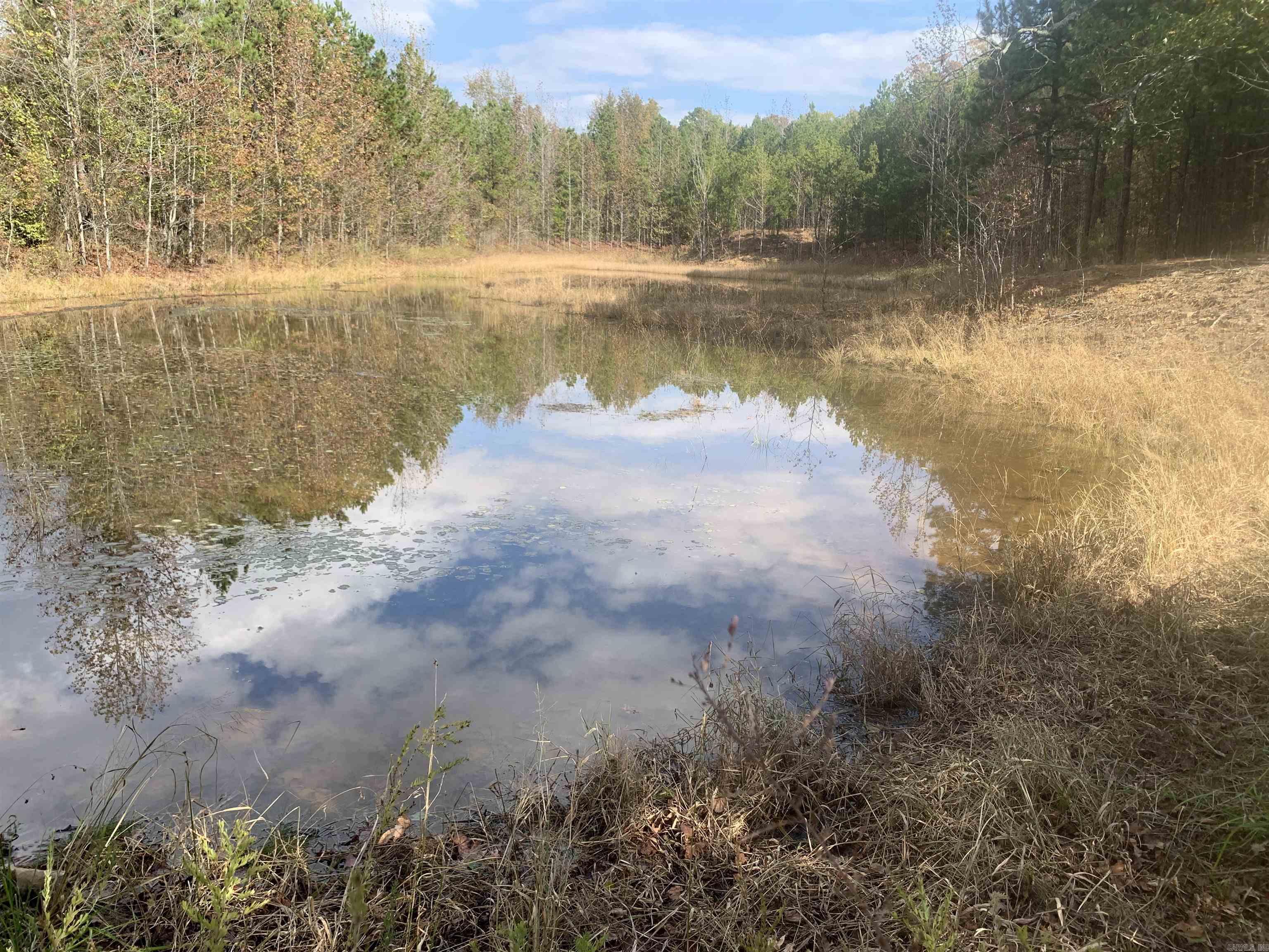 000  Old Dug Road  Bee Branch, AR