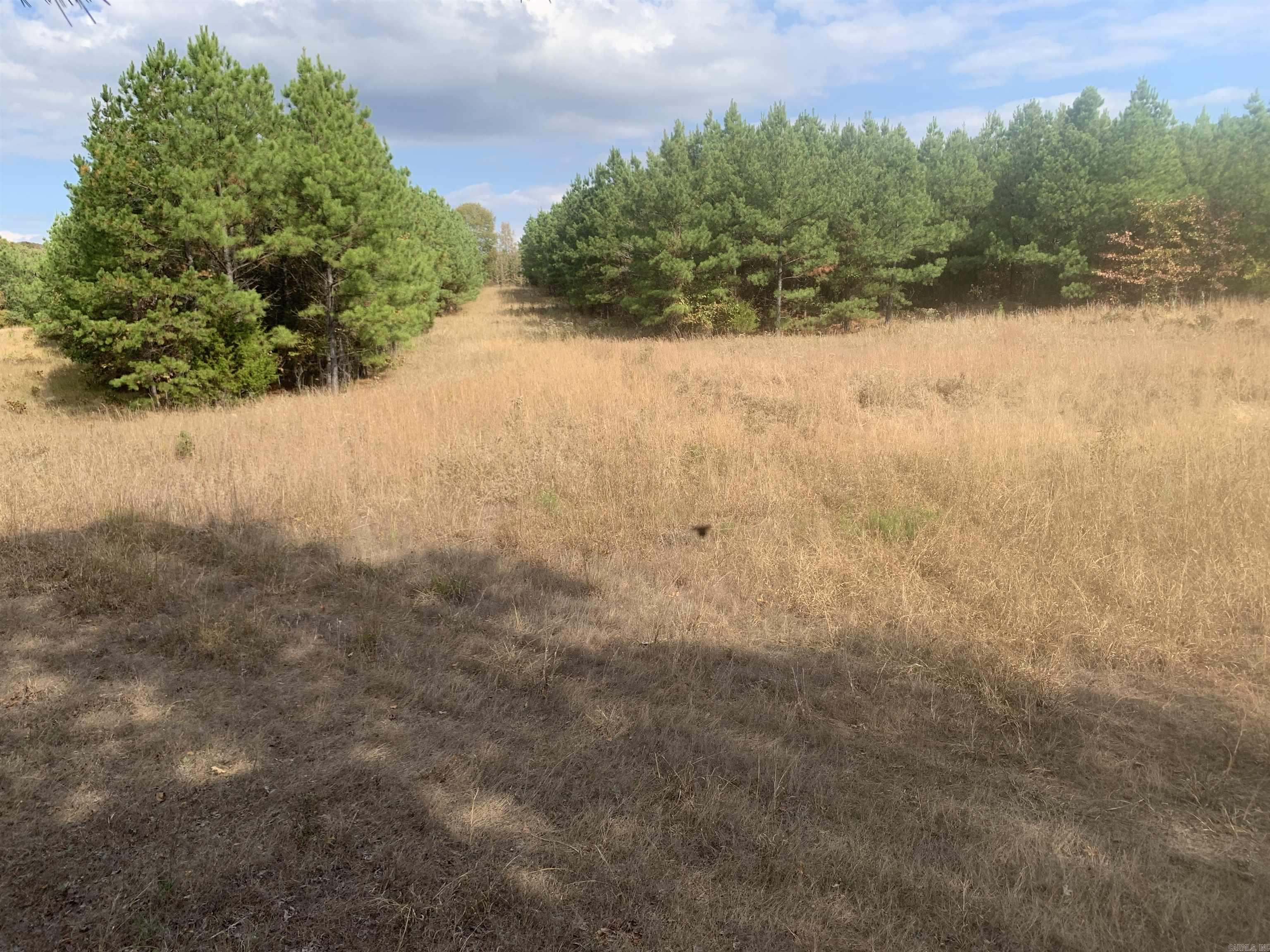 000  Old Dug Road  Bee Branch, AR