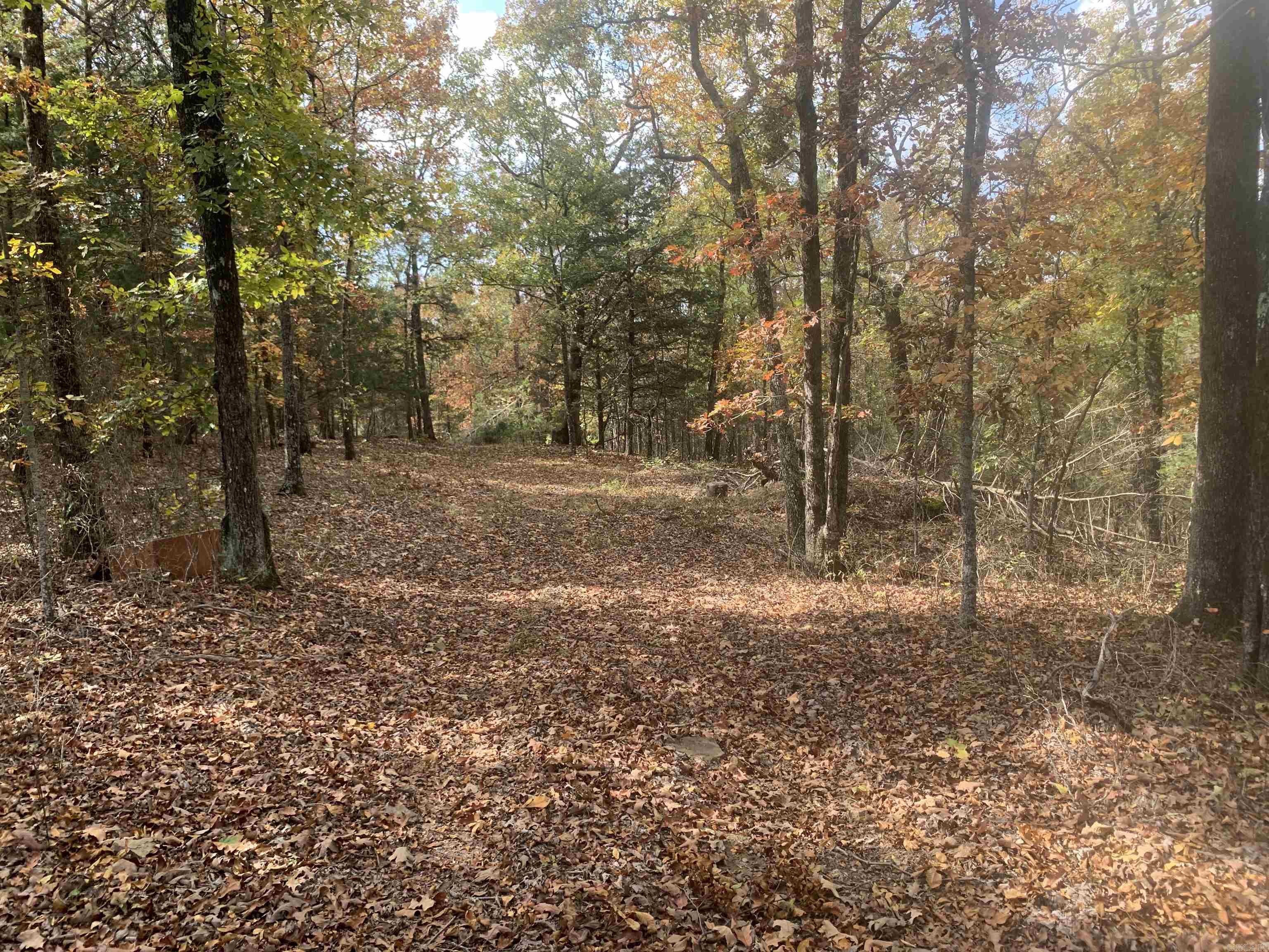 000  Old Dug Road  Bee Branch, AR