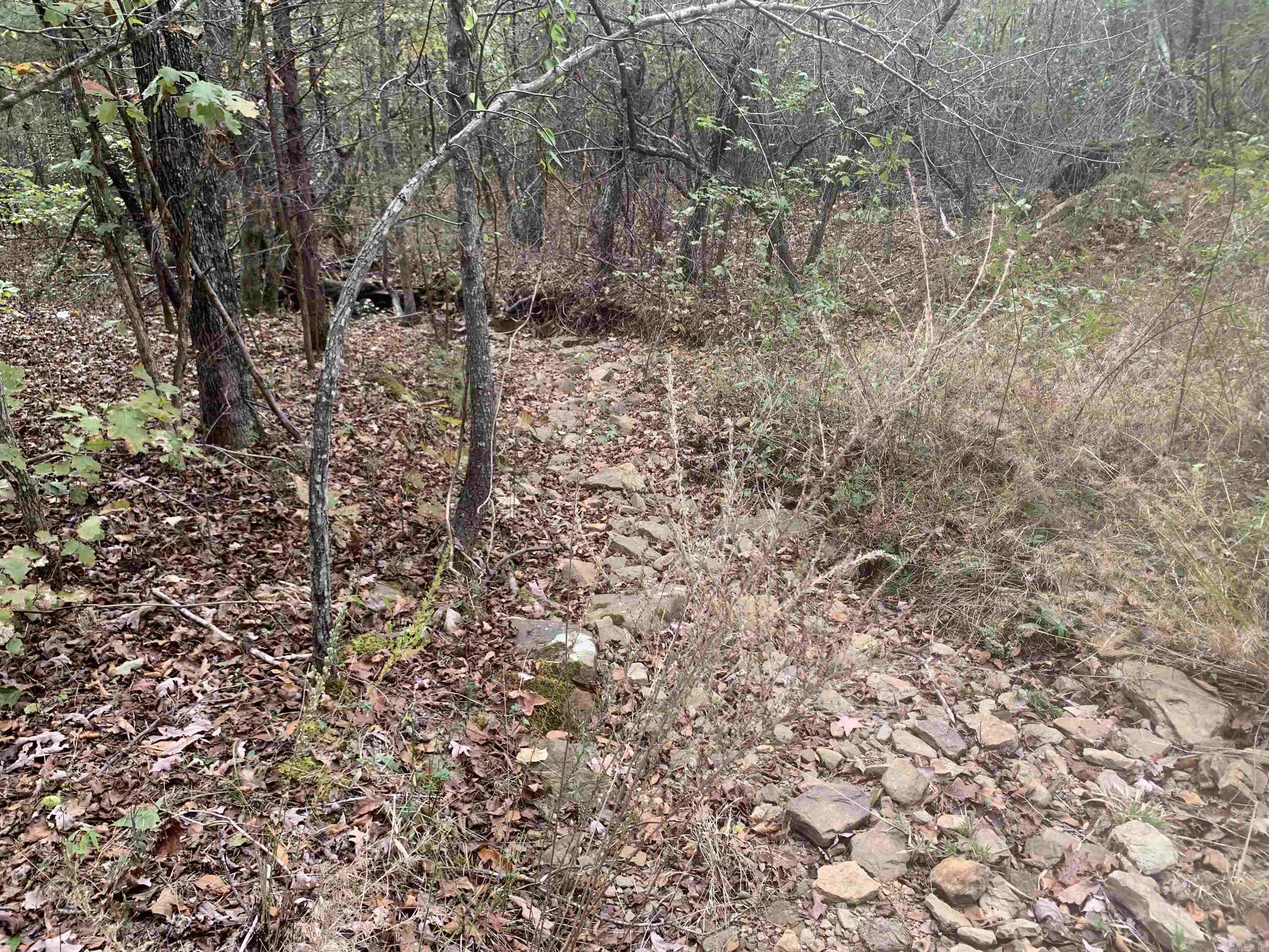 000  Old Dug Road  Bee Branch, AR
