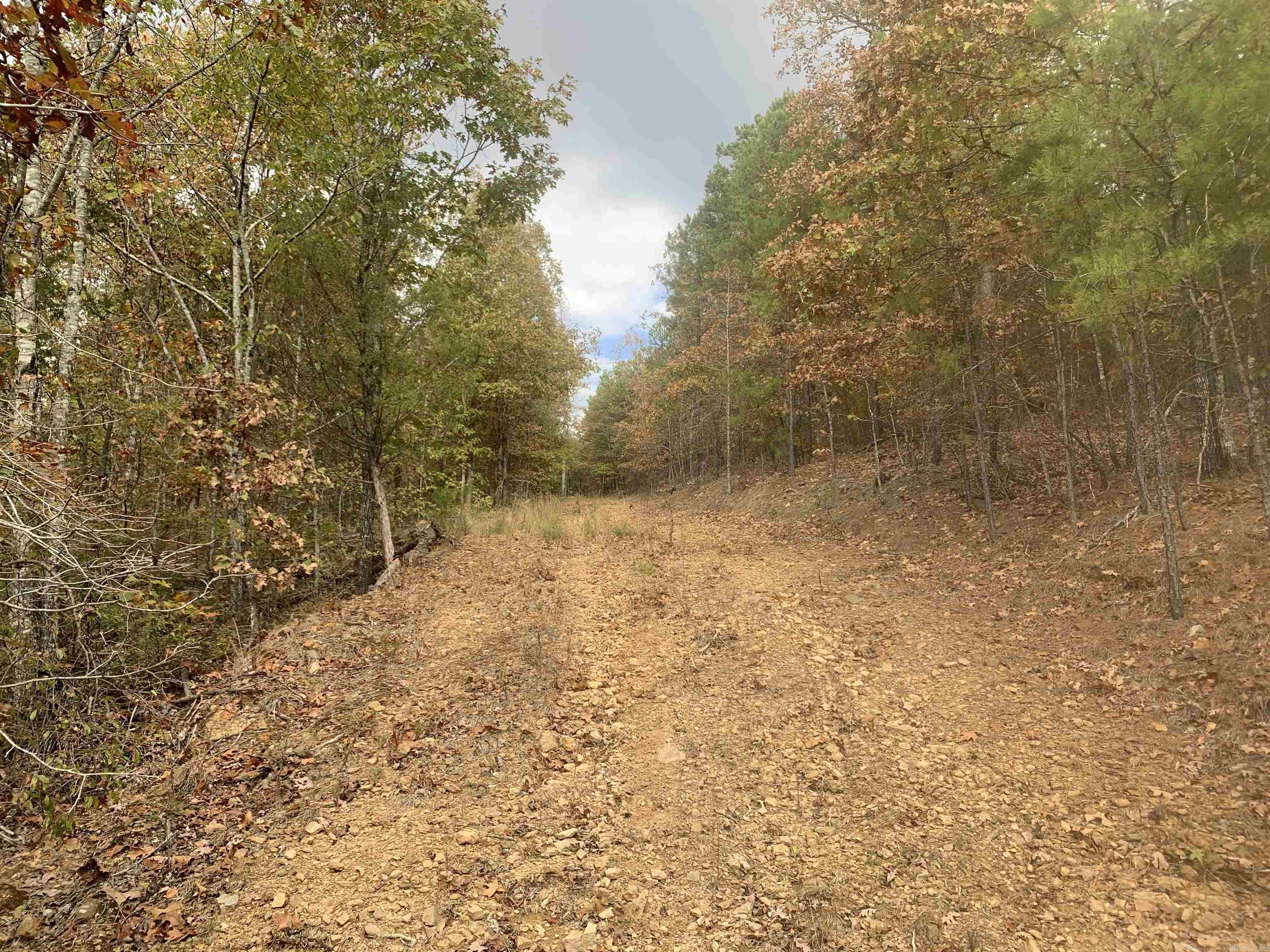 000  Old Dug Road  Bee Branch, AR