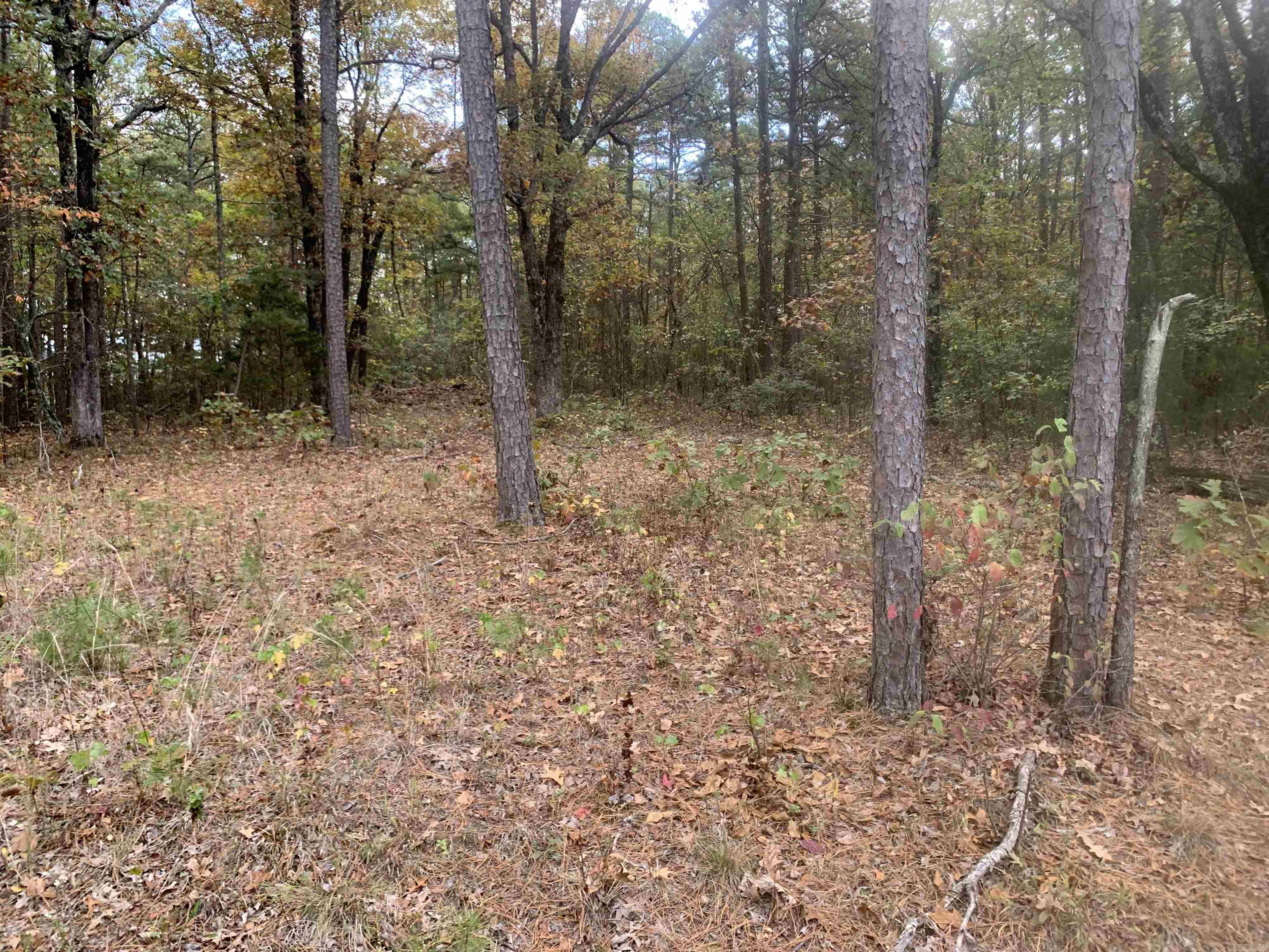 000  Old Dug Road  Bee Branch, AR