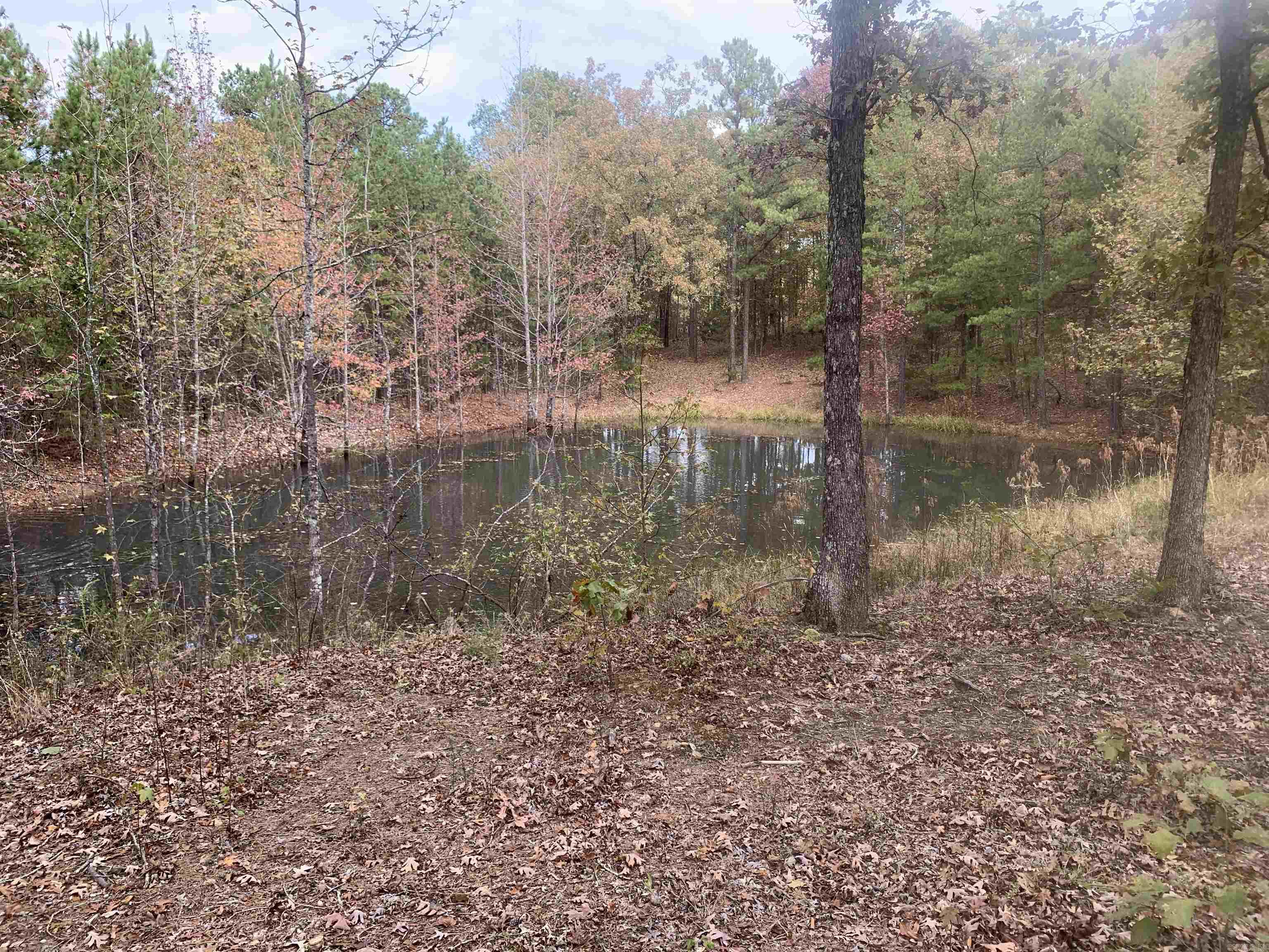 000  Old Dug Road  Bee Branch, AR