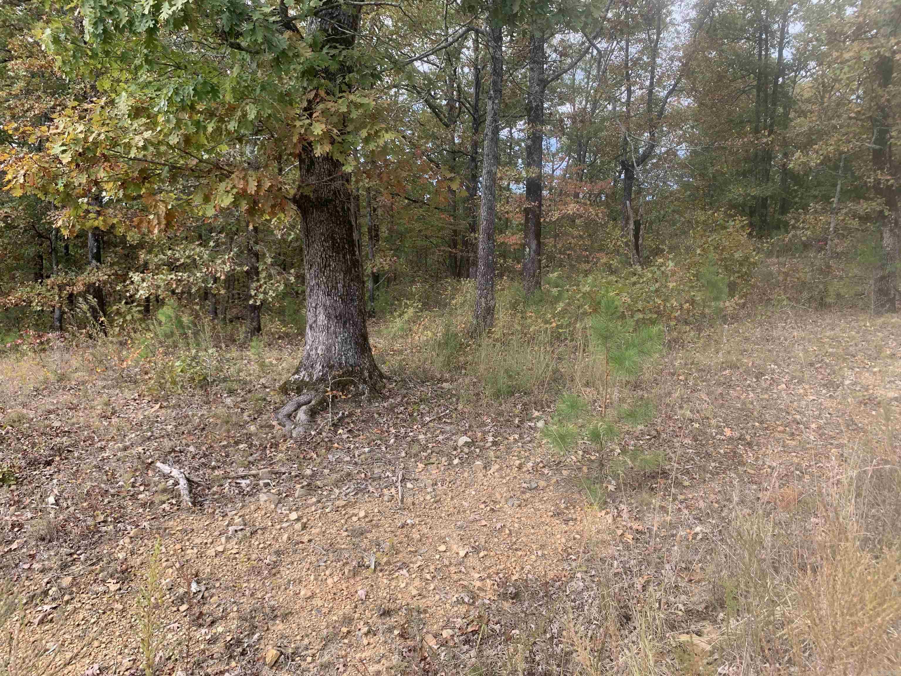 000  Old Dug Road  Bee Branch, AR