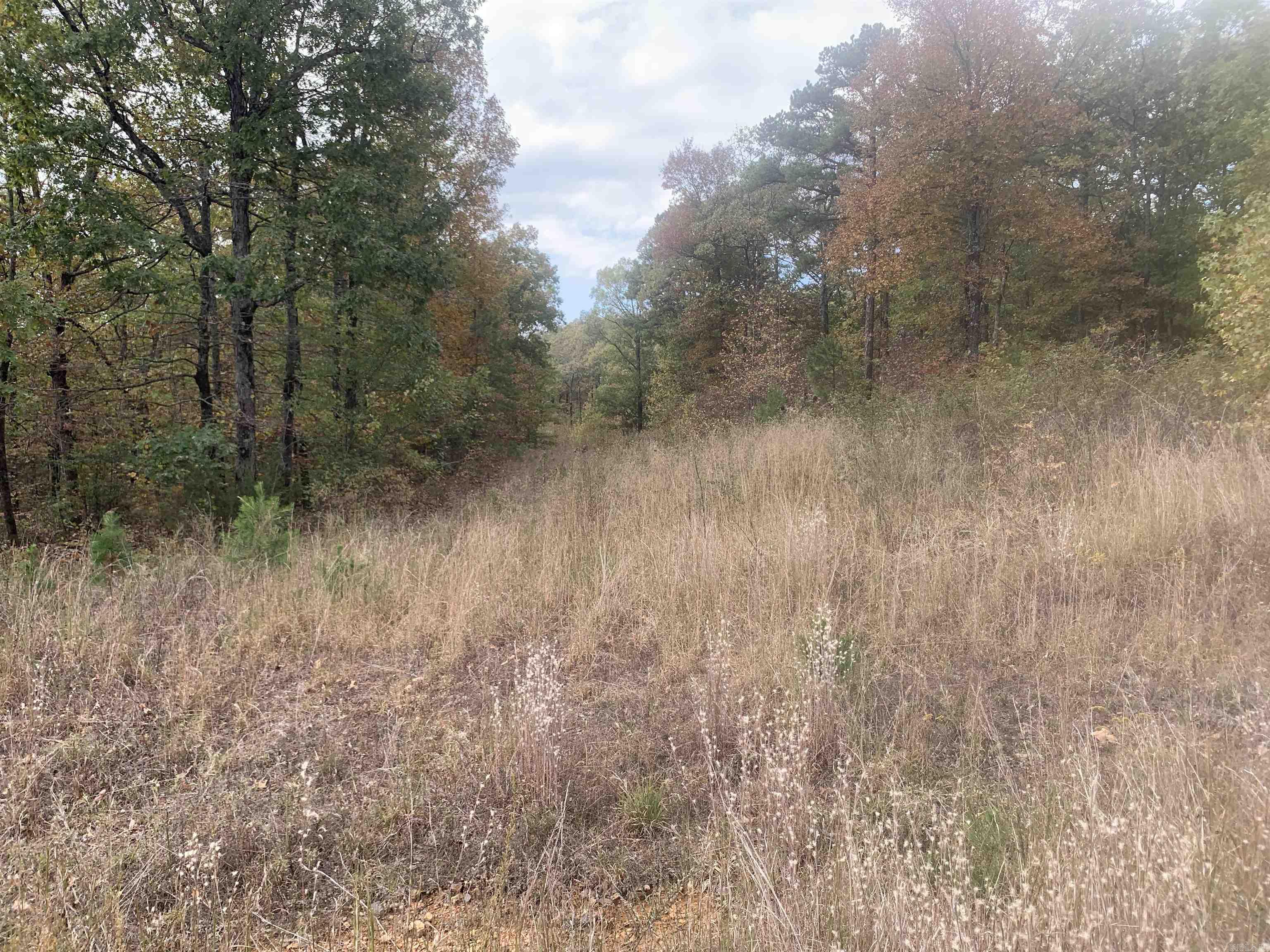 000  Old Dug Road  Bee Branch, AR