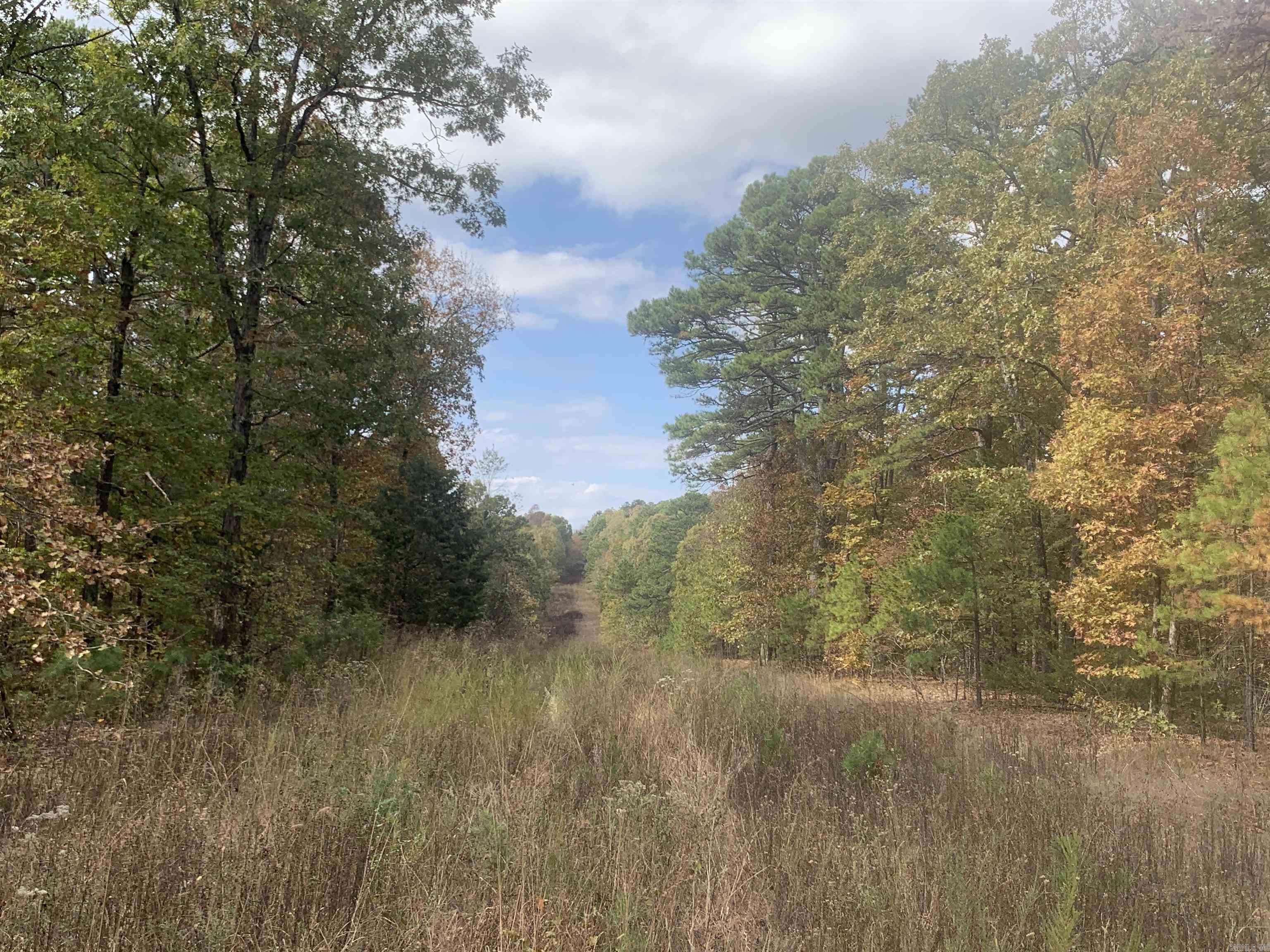 000  Old Dug Road  Bee Branch, AR