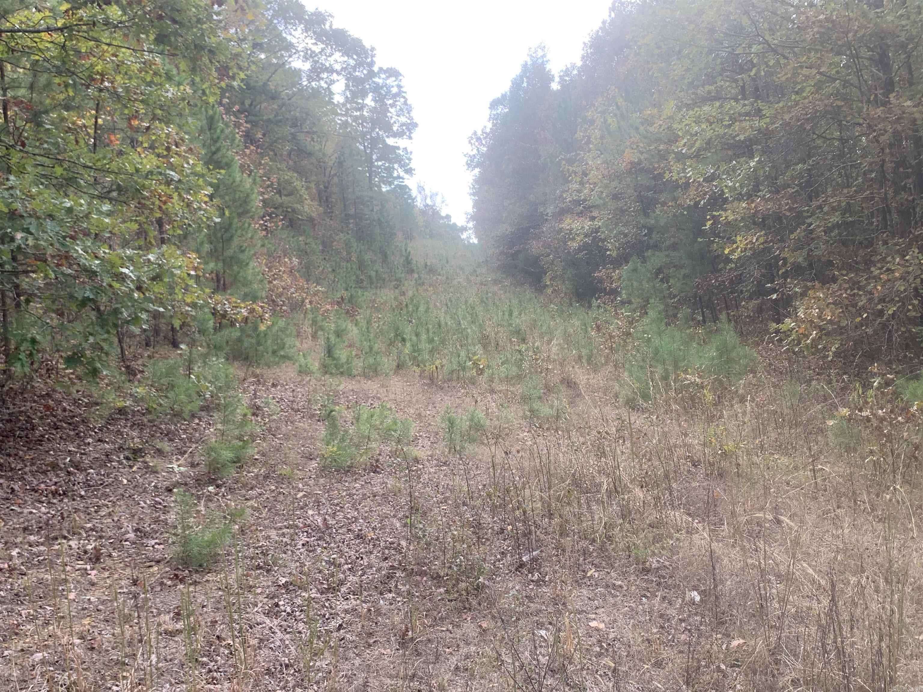 000  Old Dug Road  Bee Branch, AR