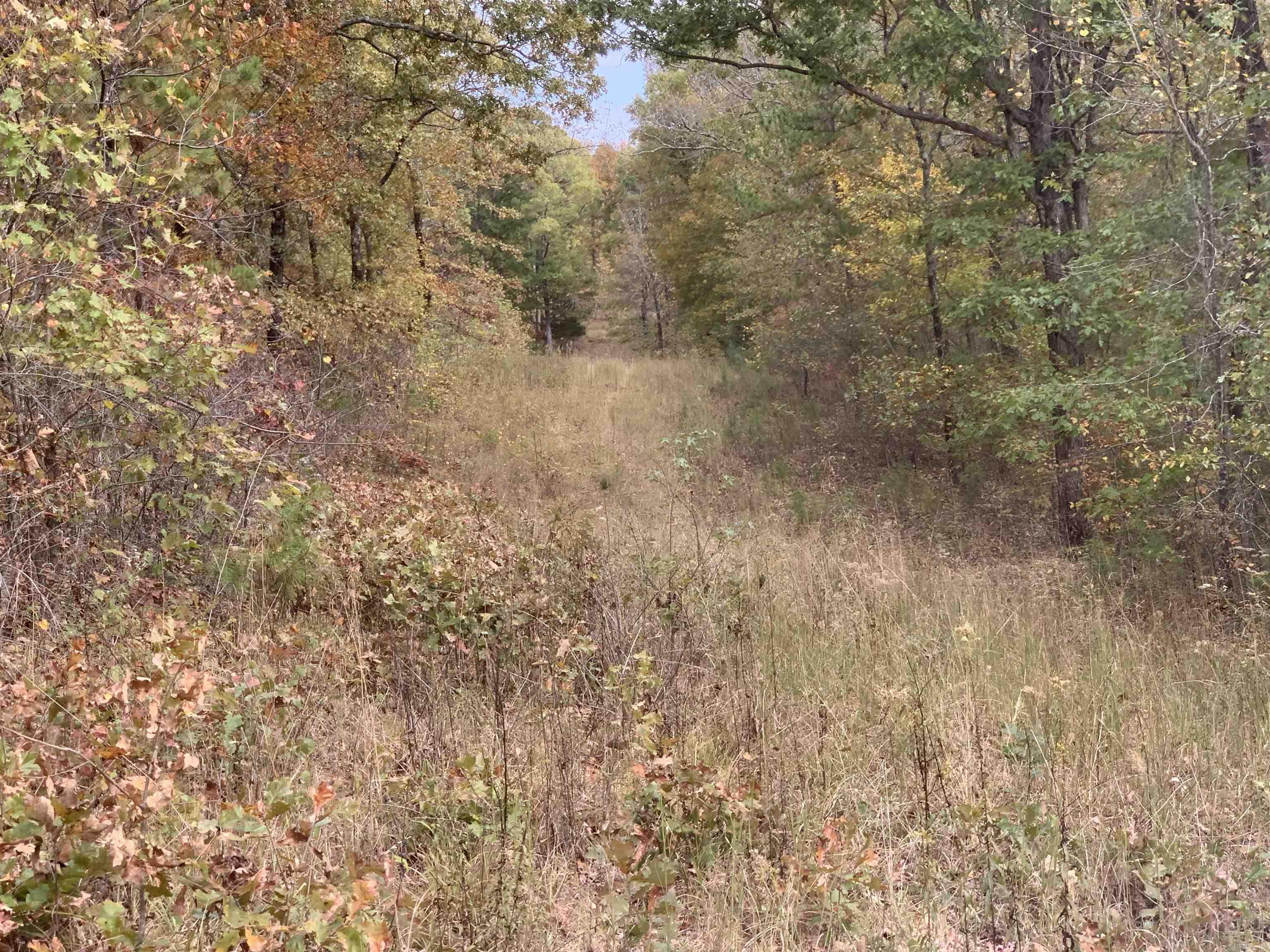 000  Old Dug Road  Bee Branch, AR