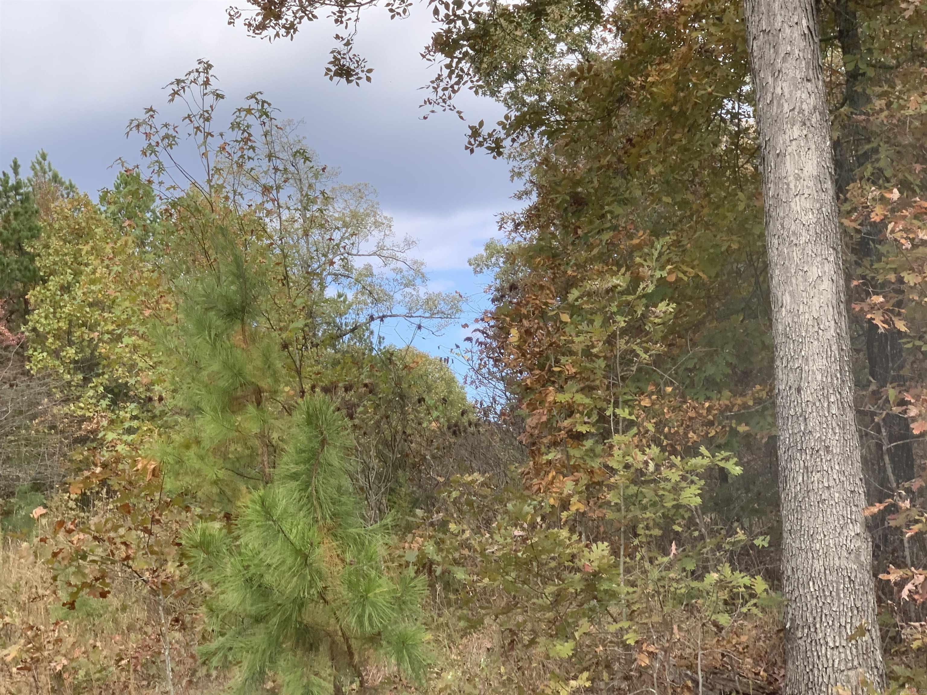 000  Old Dug Road  Bee Branch, AR