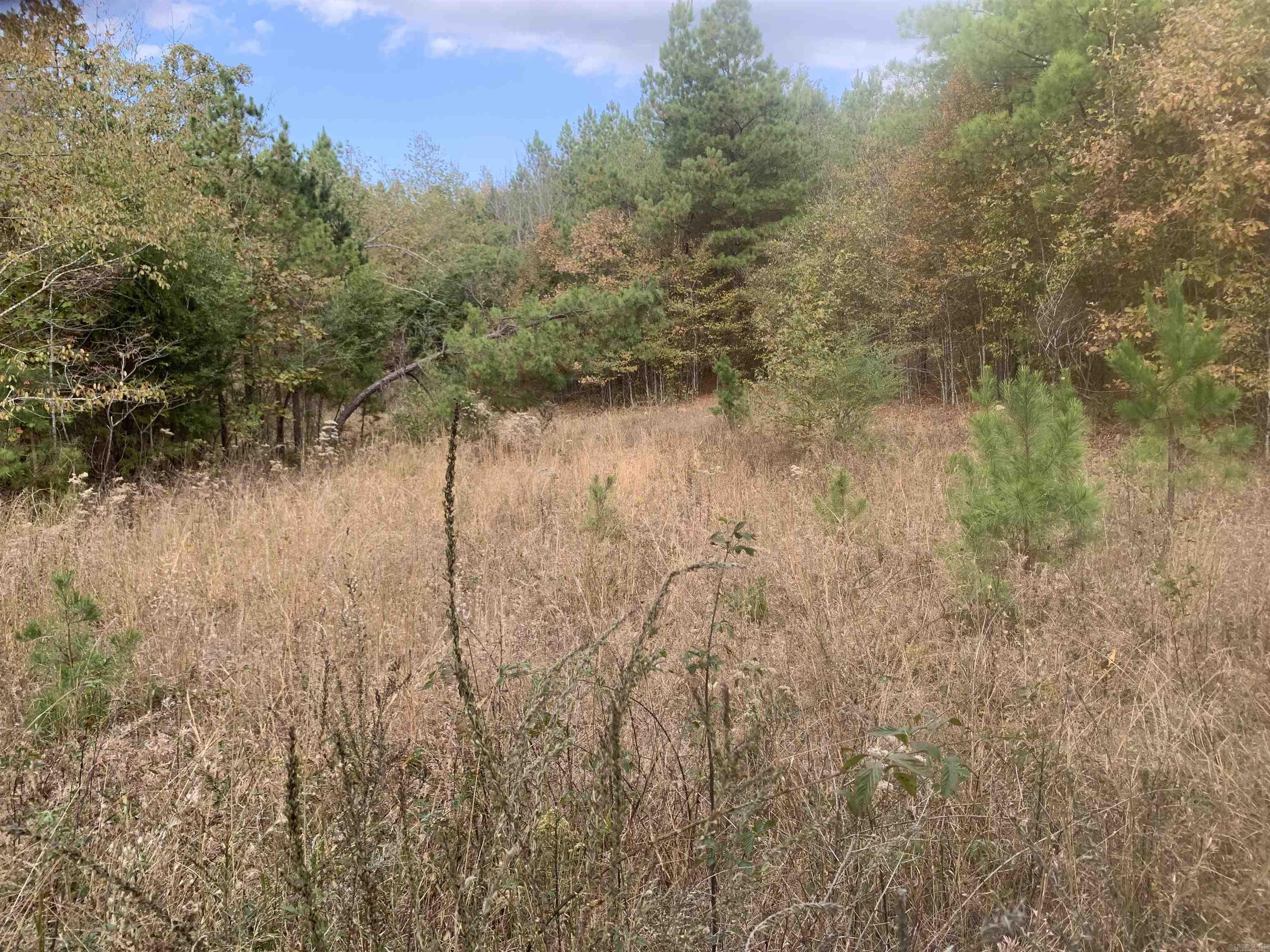 000  Old Dug Road  Bee Branch, AR