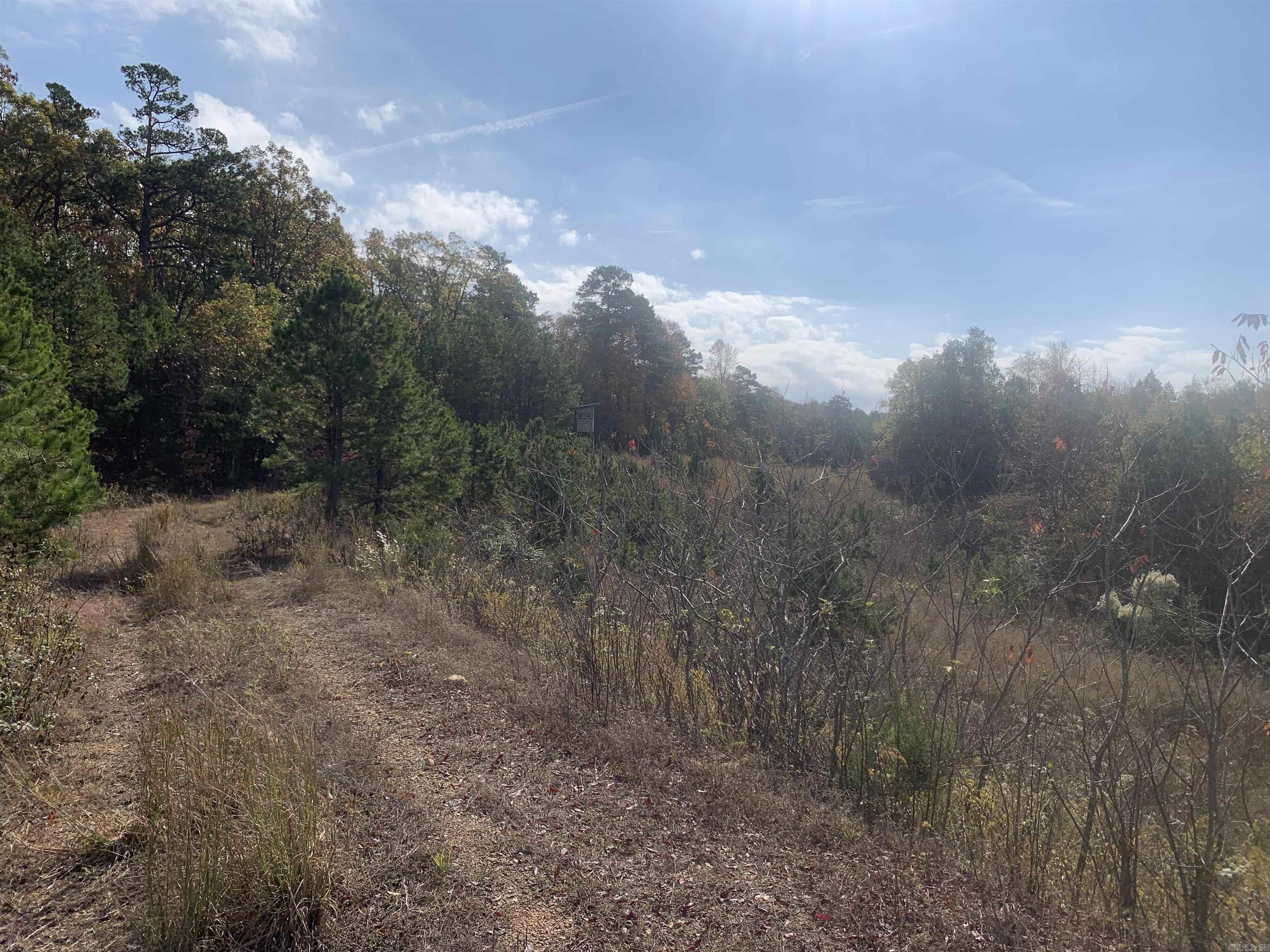 000  Old Dug Road  Bee Branch, AR