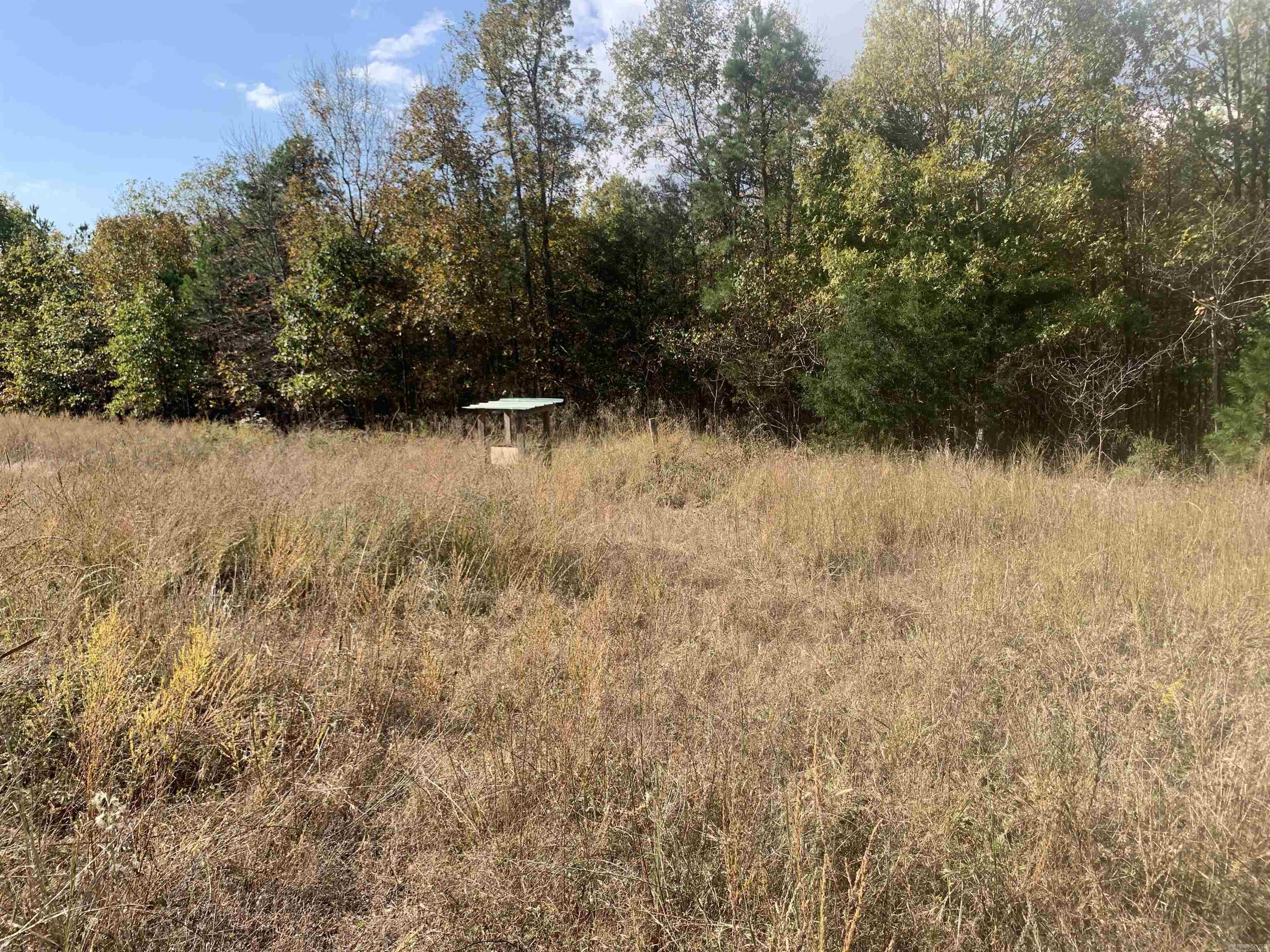000  Old Dug Road  Bee Branch, AR