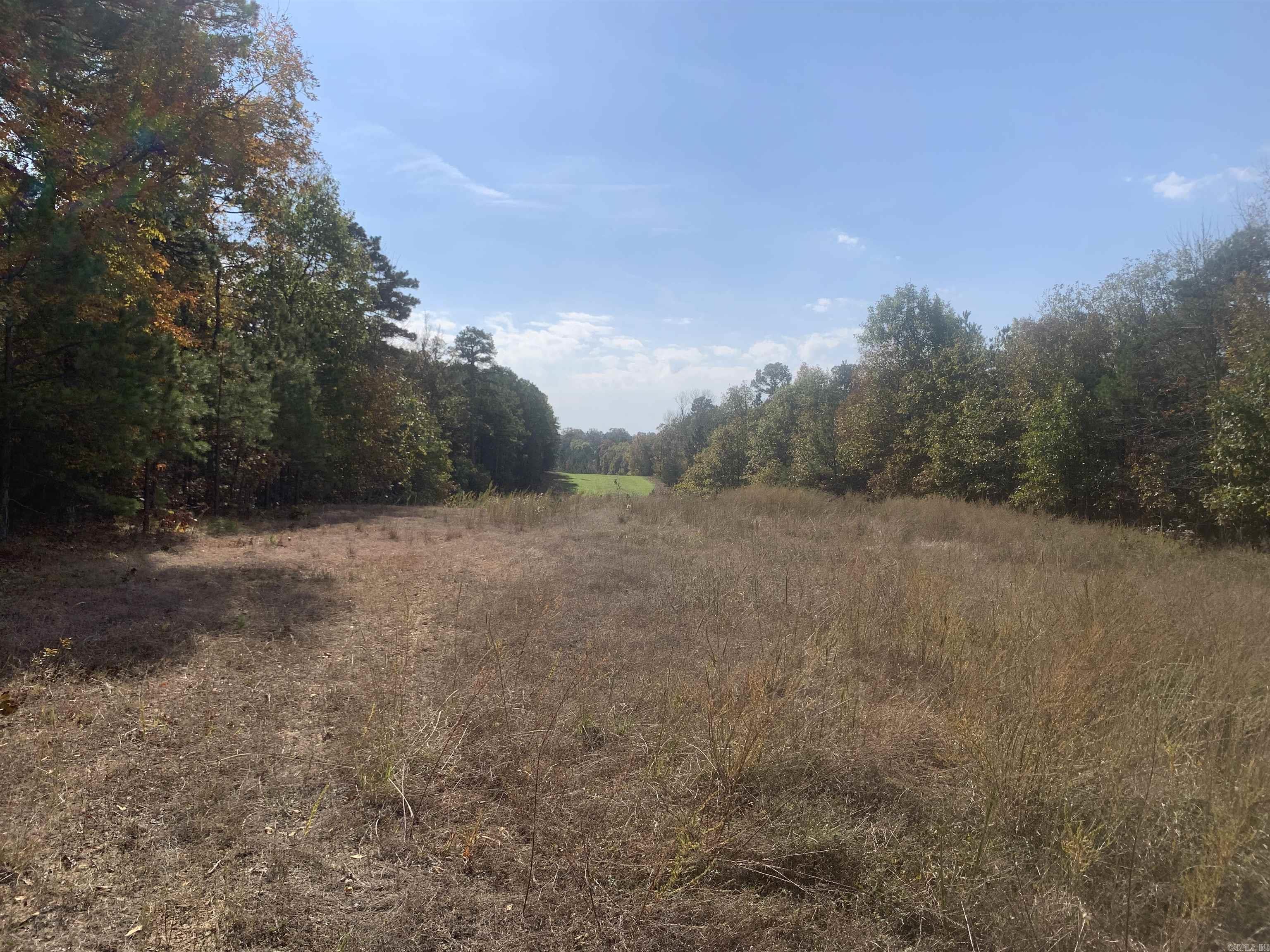 000  Old Dug Road  Bee Branch, AR