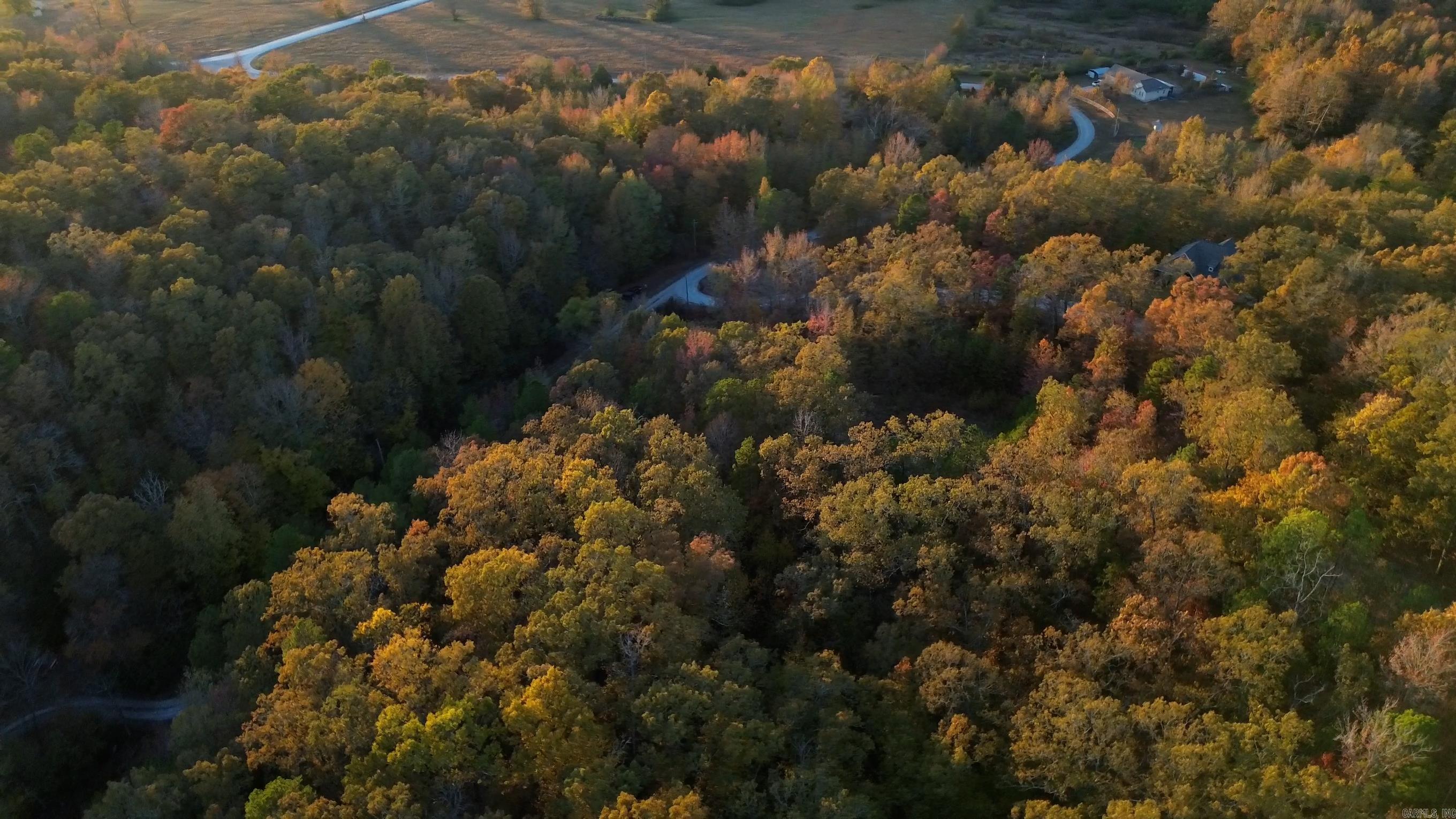 205  Alydar Trail  Hot Springs, AR