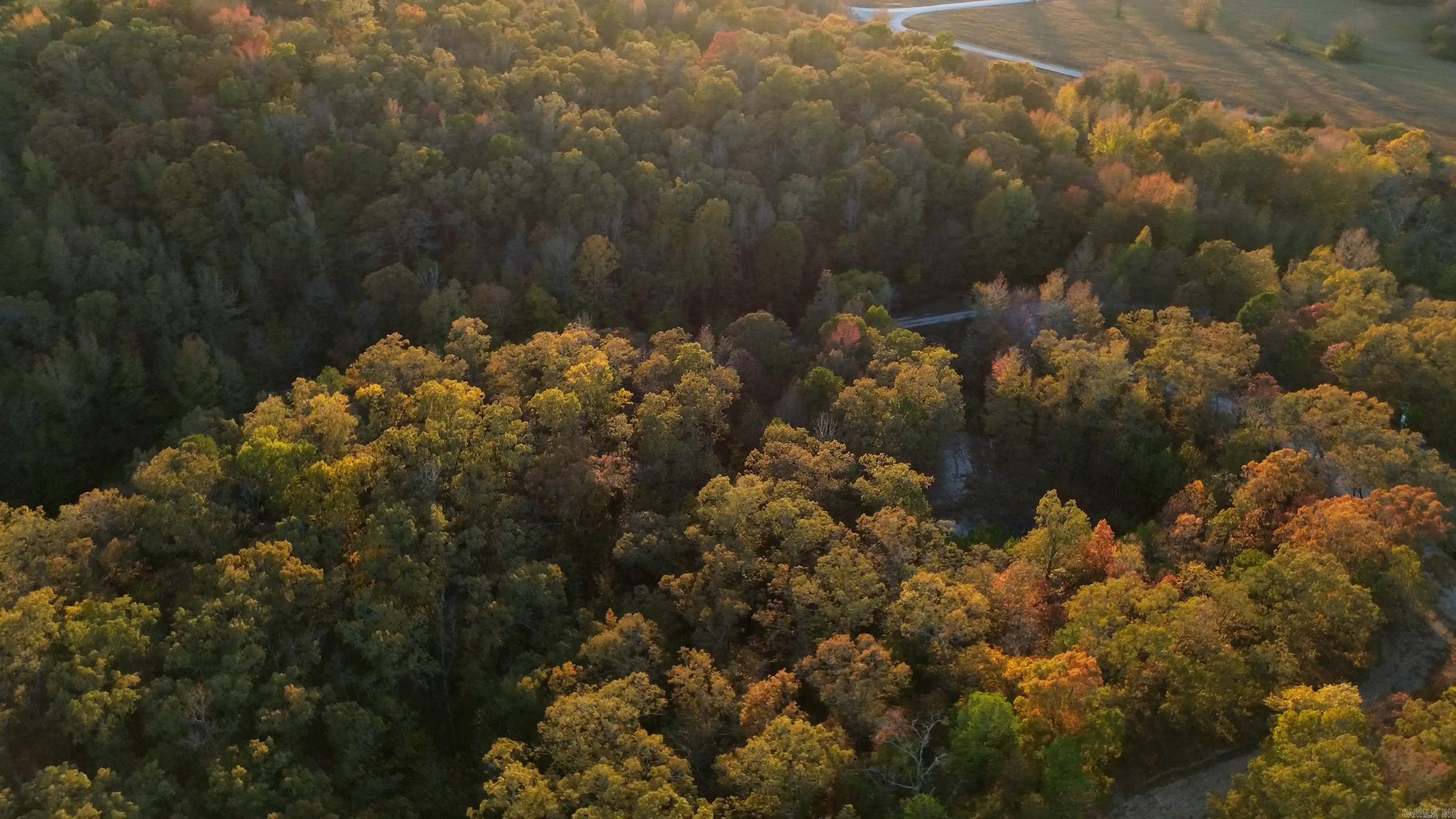 205  Alydar Trail  Hot Springs, AR