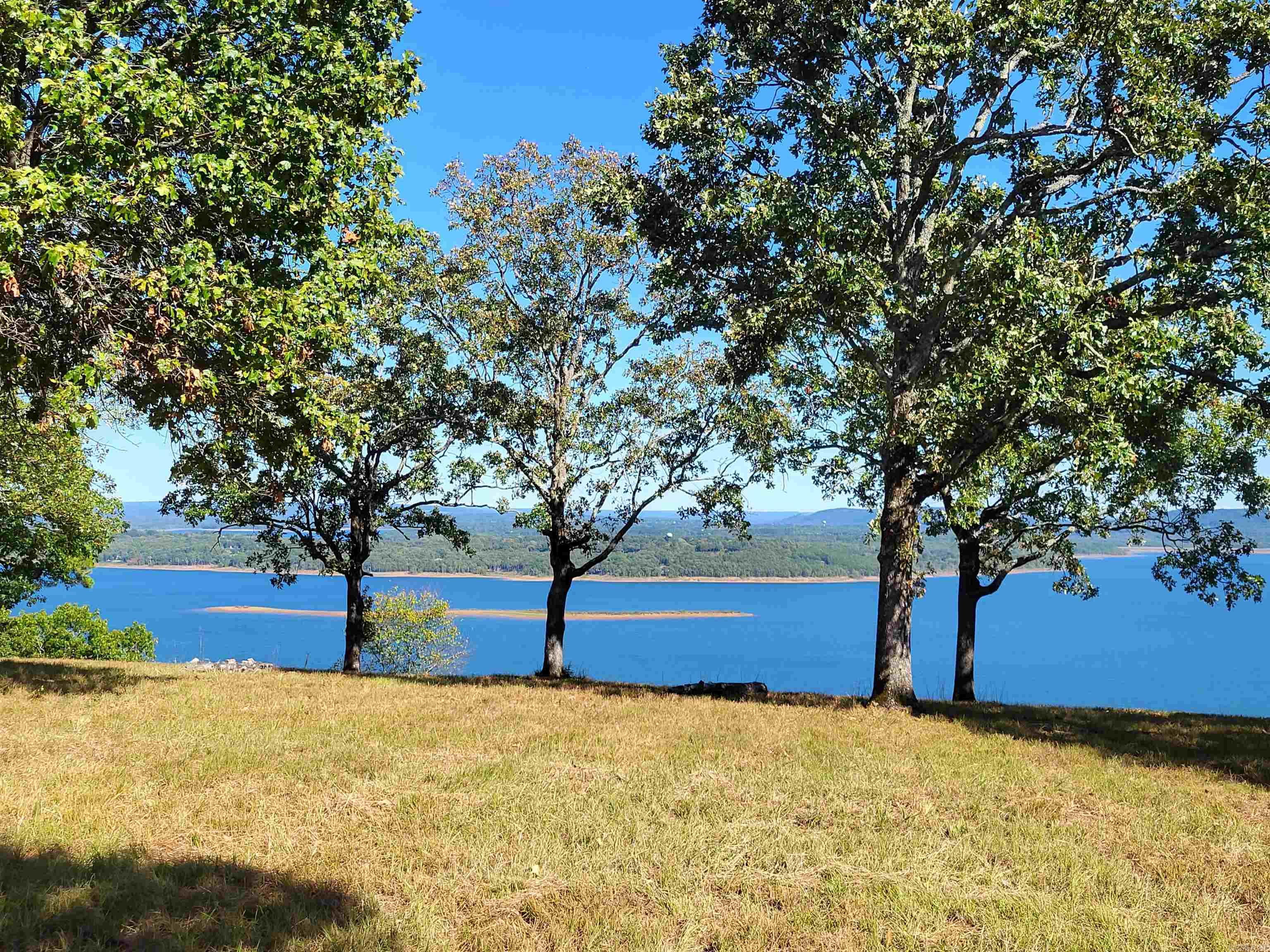 717  Honeysuckle Lane  Quitman, AR