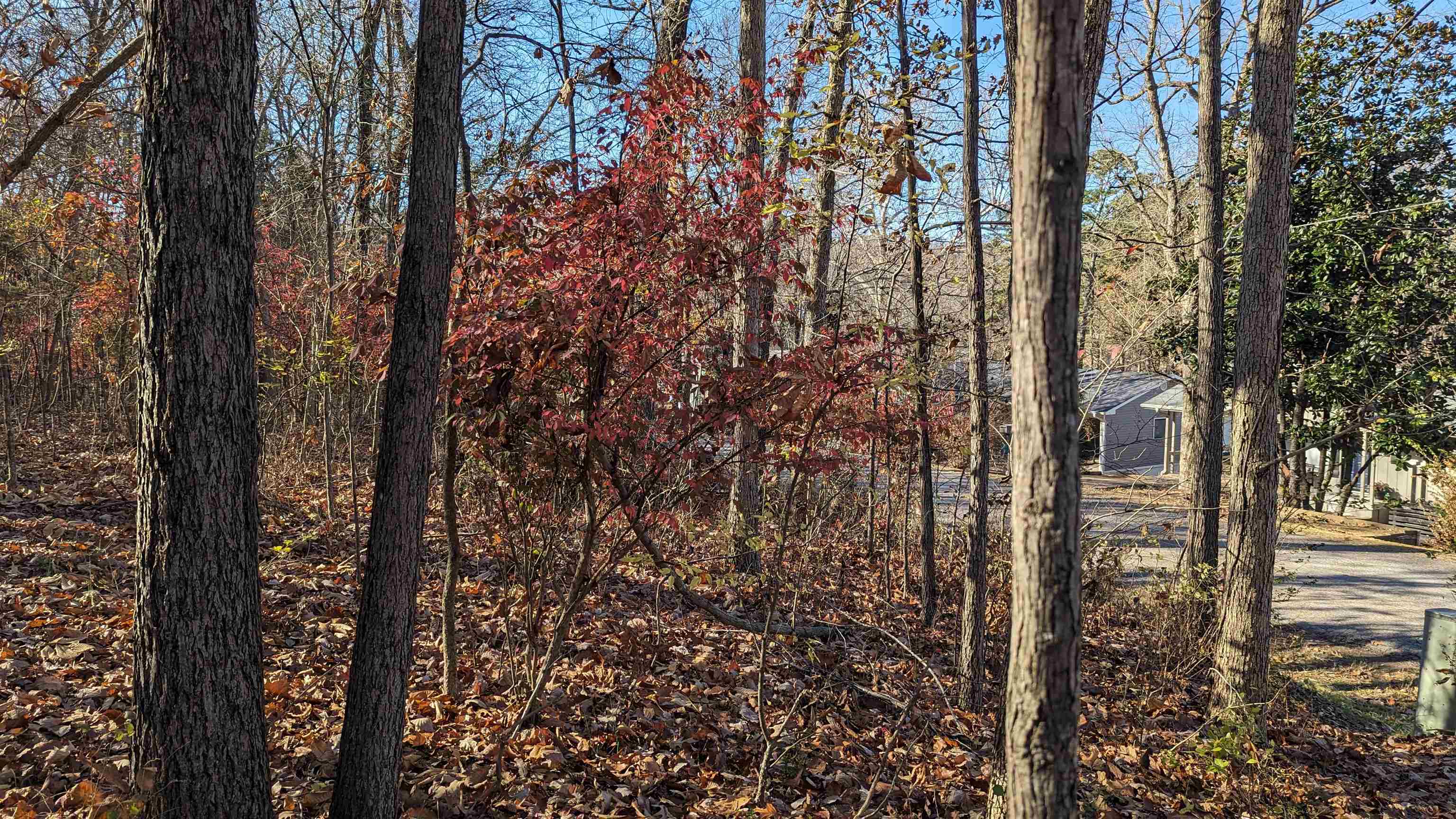 L-13, B-8  Yosemite  Cherokee Village, AR