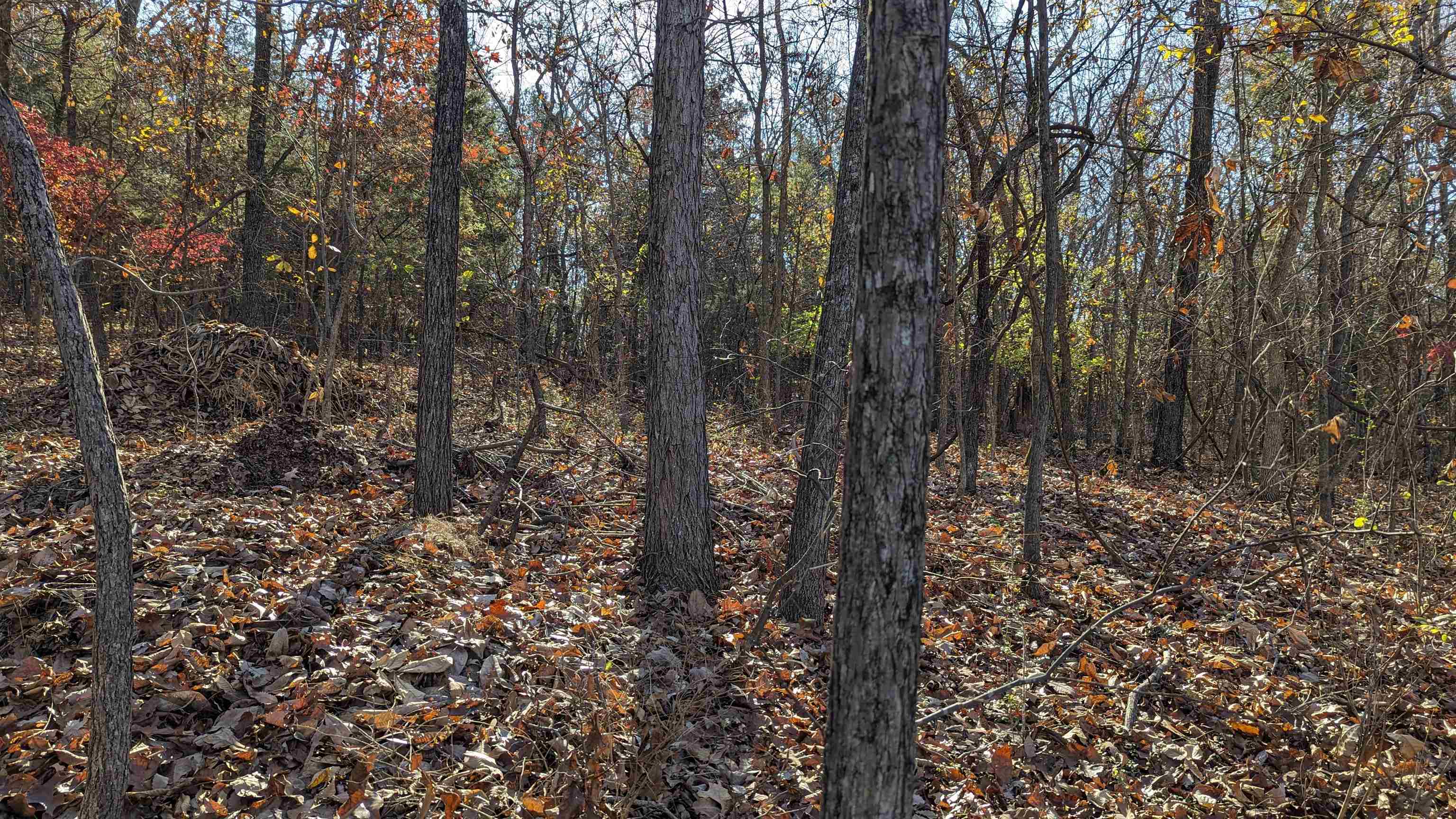 L-13, B-8  Yosemite  Cherokee Village, AR