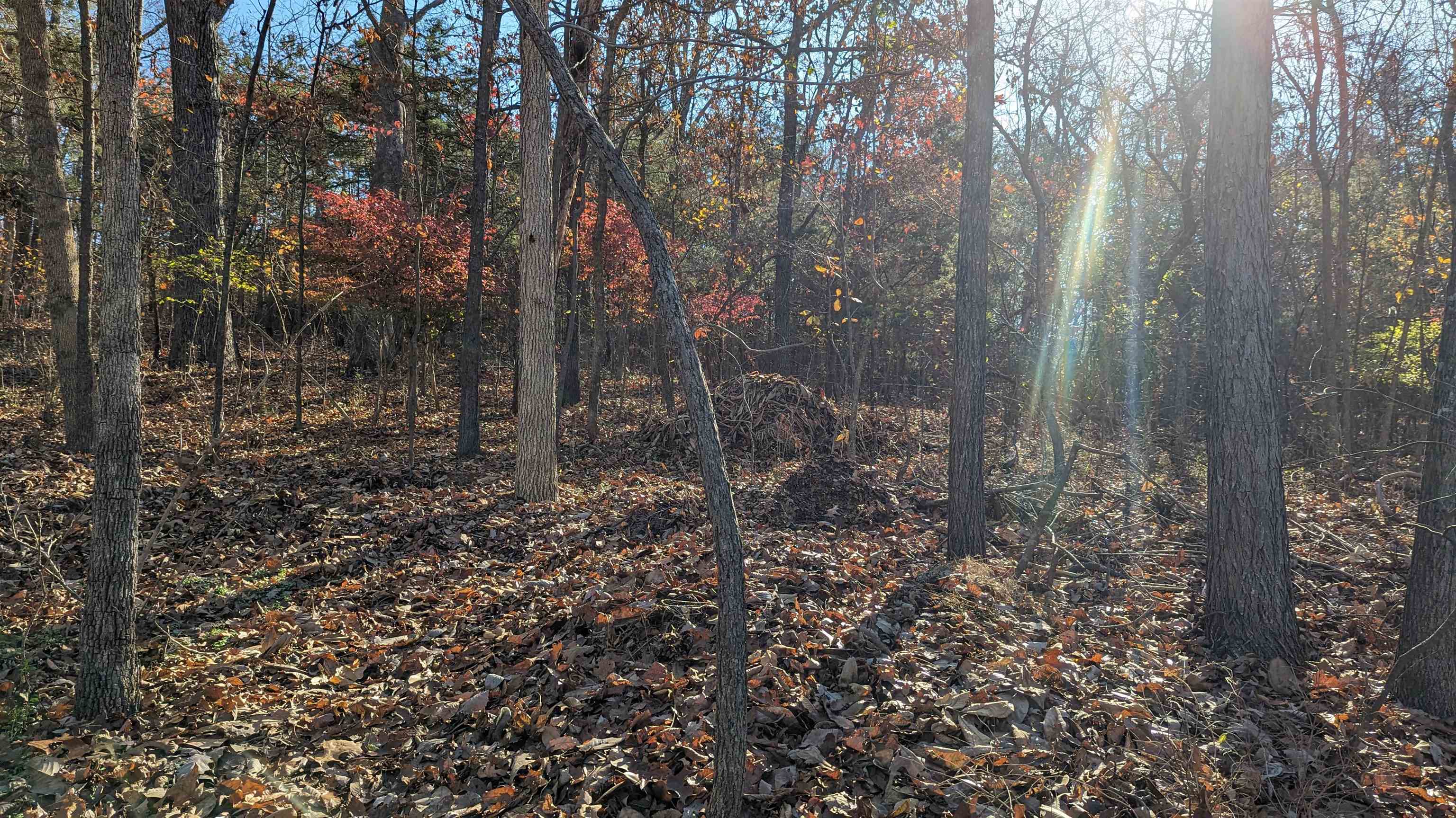 L-13, B-8  Yosemite  Cherokee Village, AR