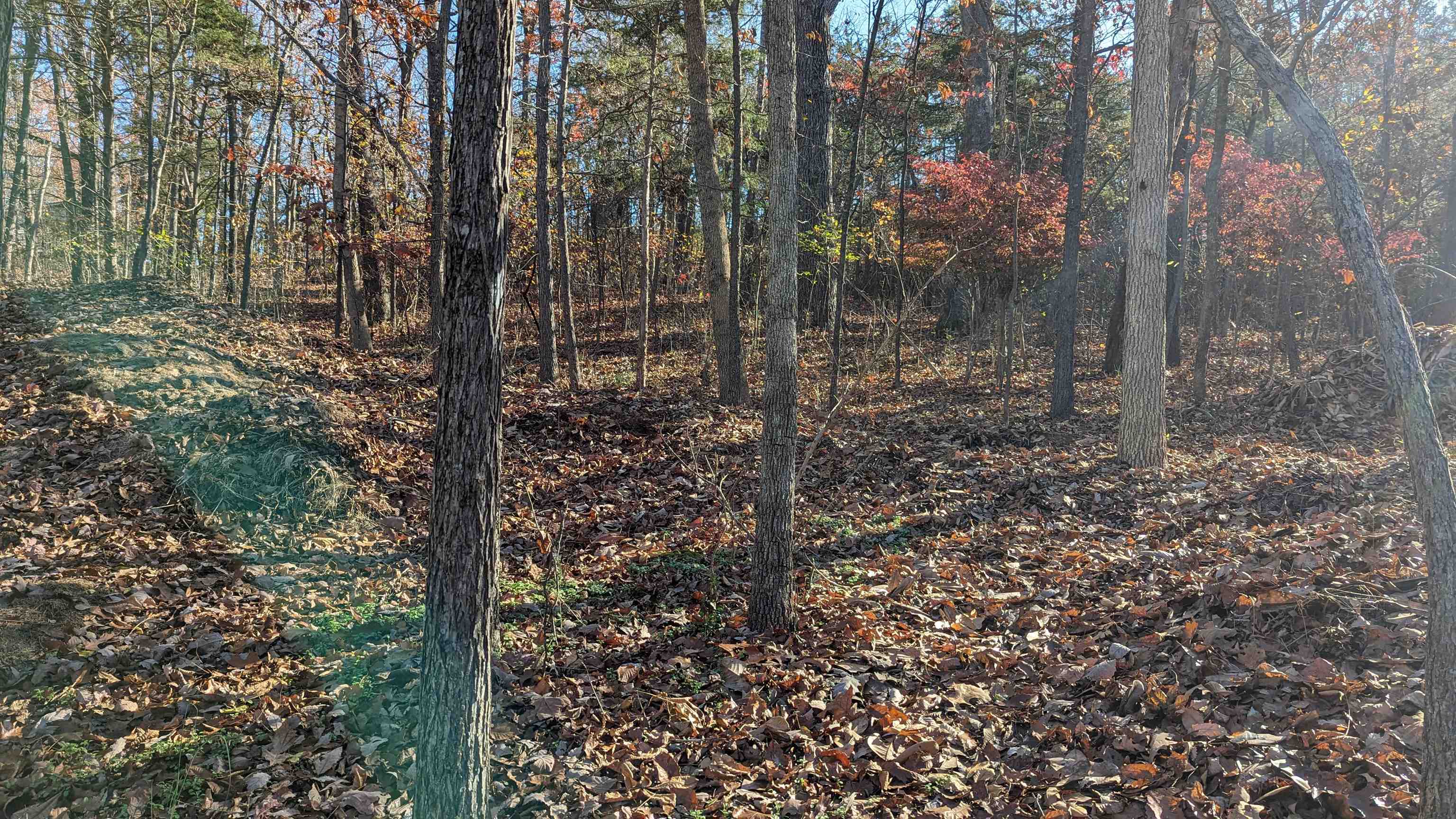 L-13, B-8  Yosemite  Cherokee Village, AR