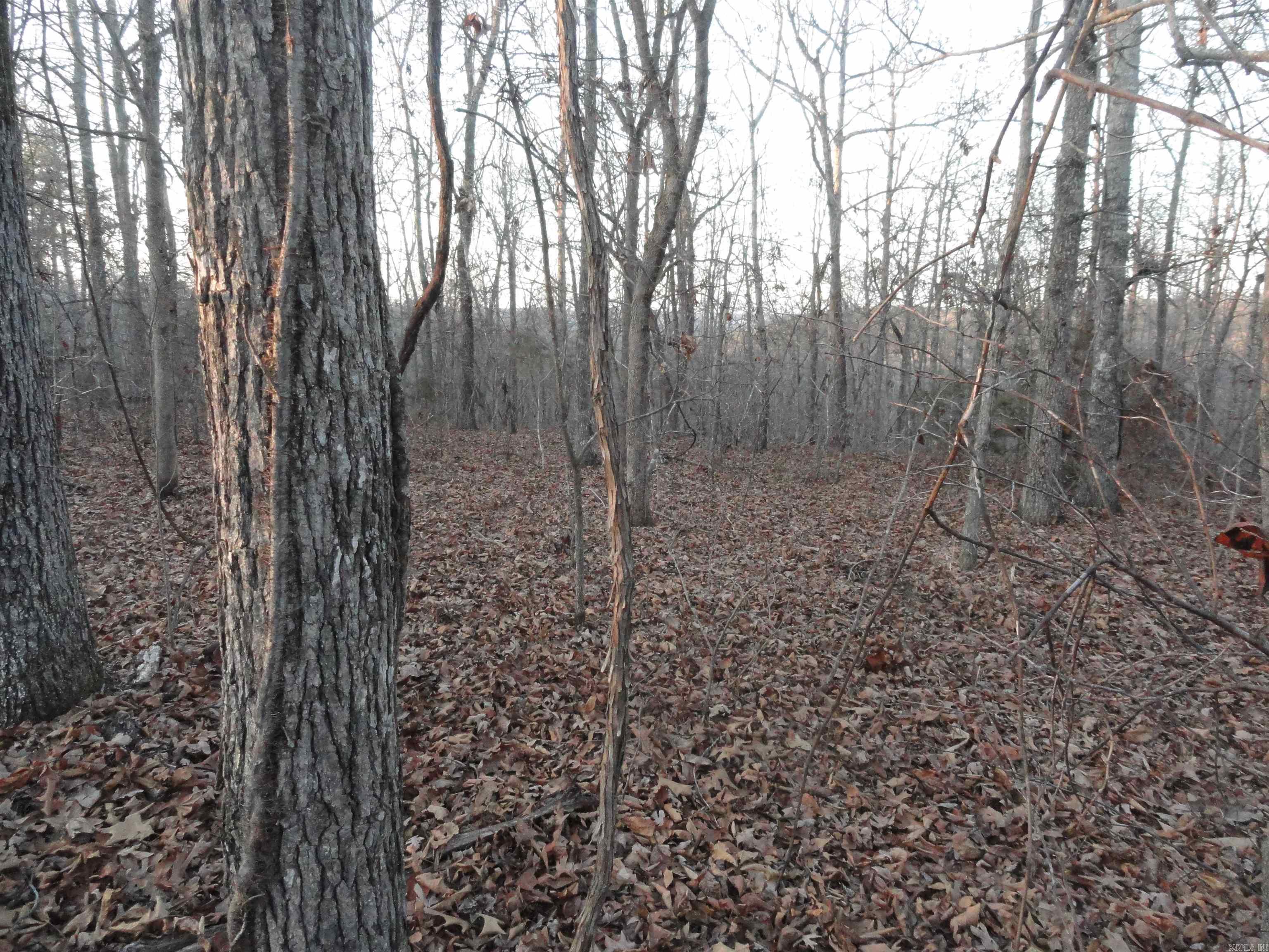 313 Mayapple Road Harriet, AR 72639