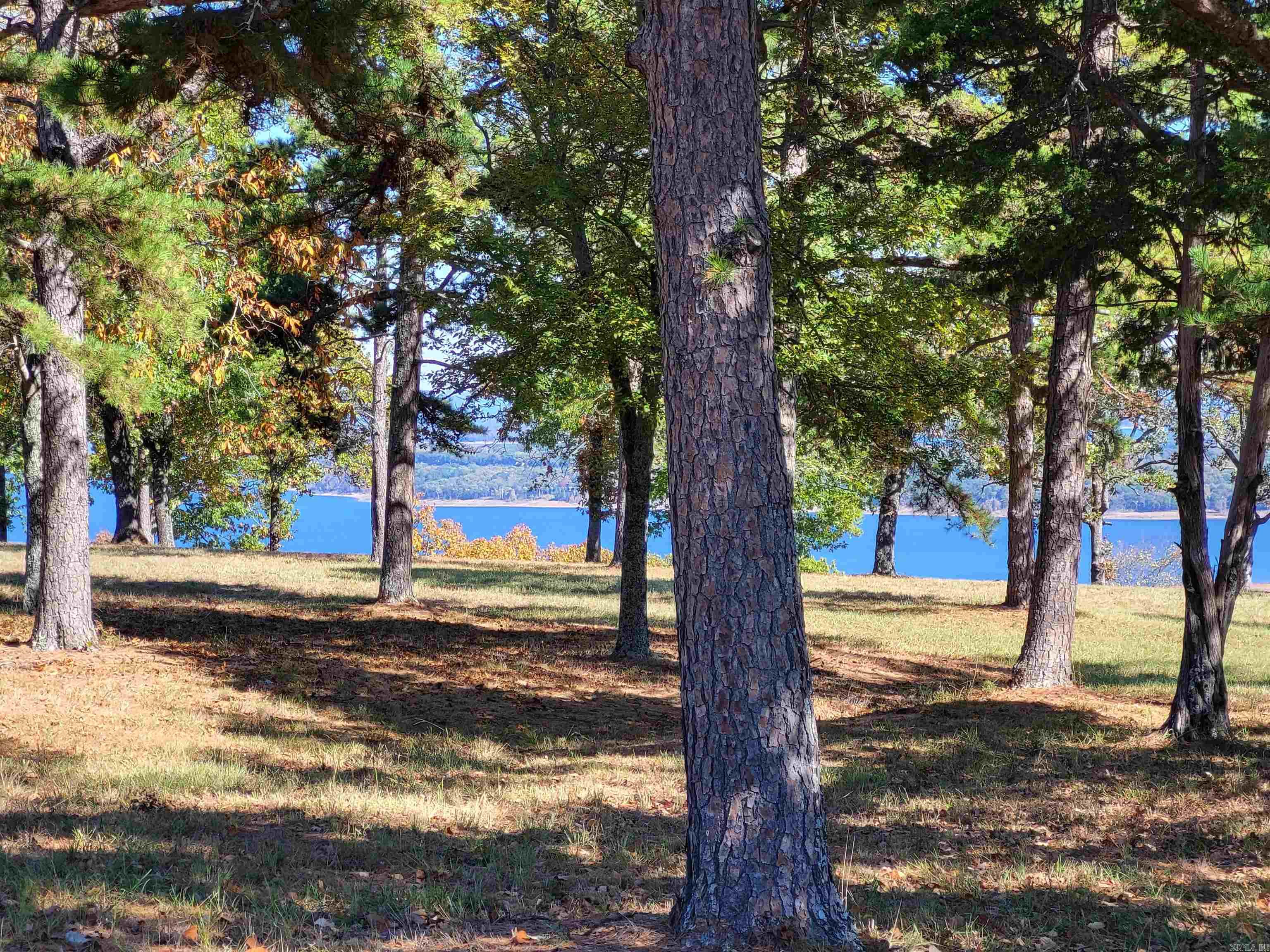 689  Honeysuckle Ln  Quitman, AR