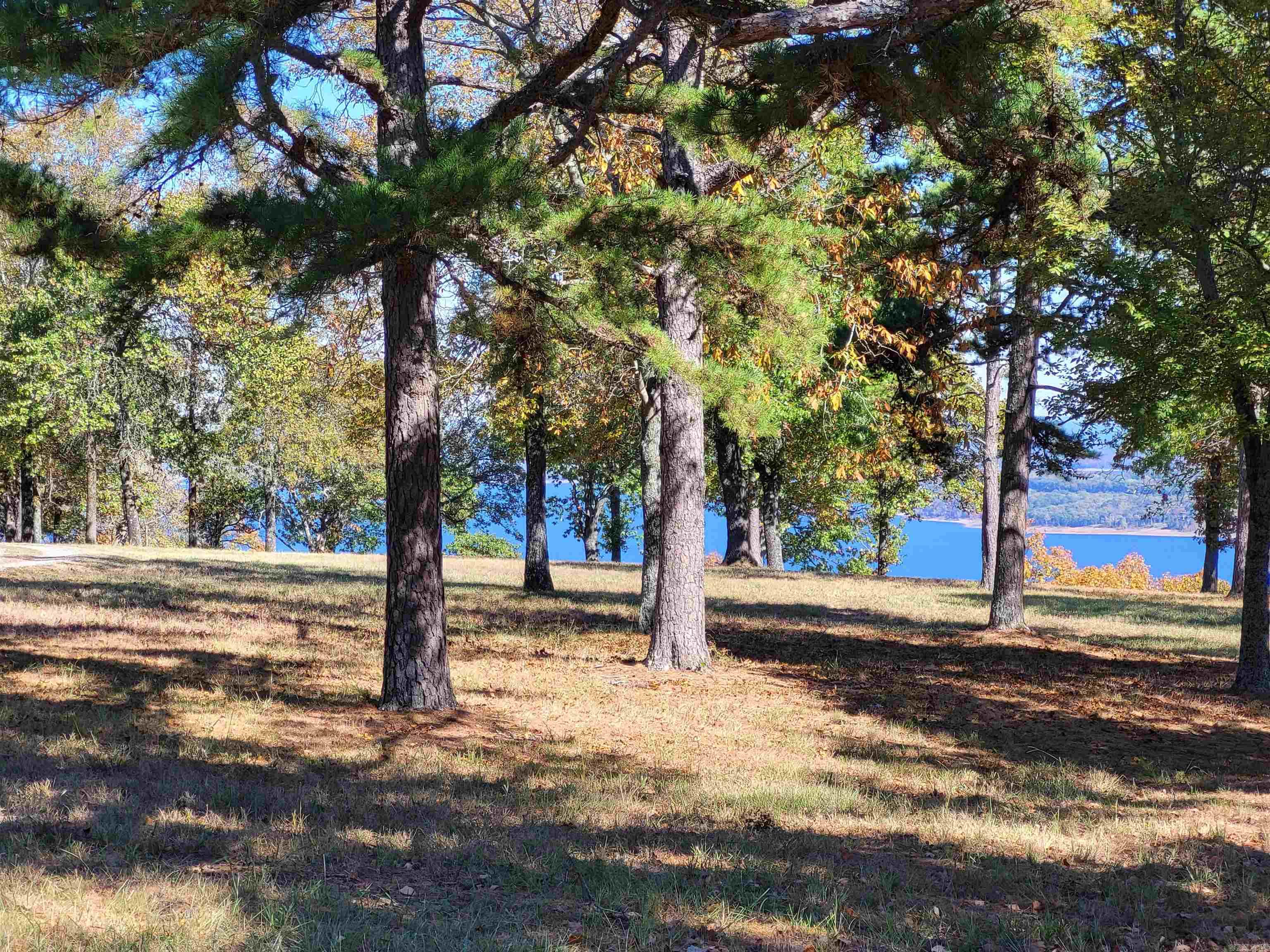 689  Honeysuckle Ln  Quitman, AR