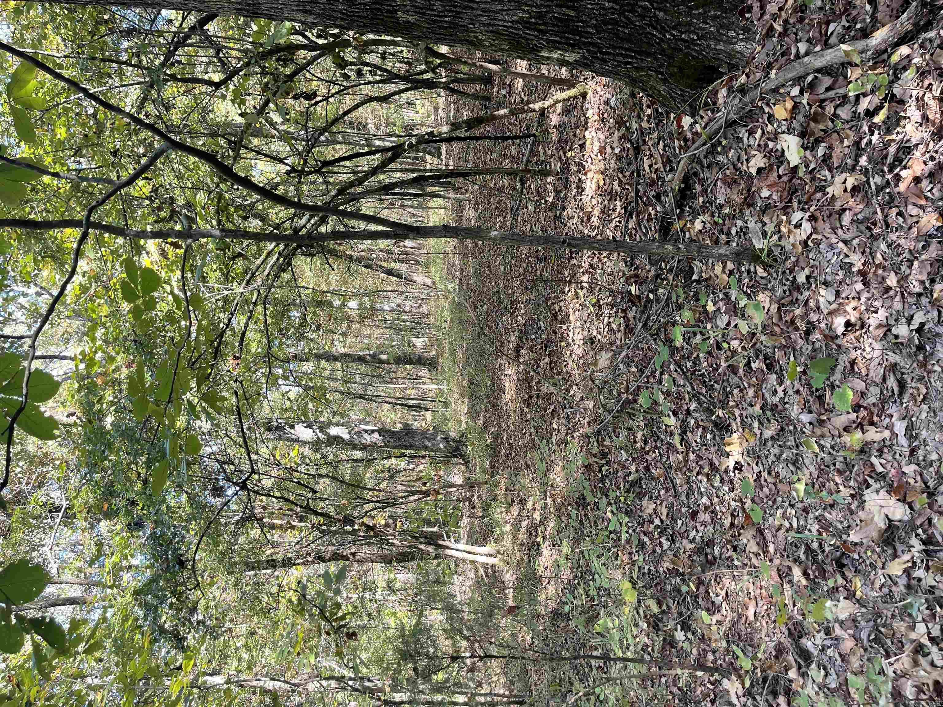 20 Acres  Congo  Benton, AR