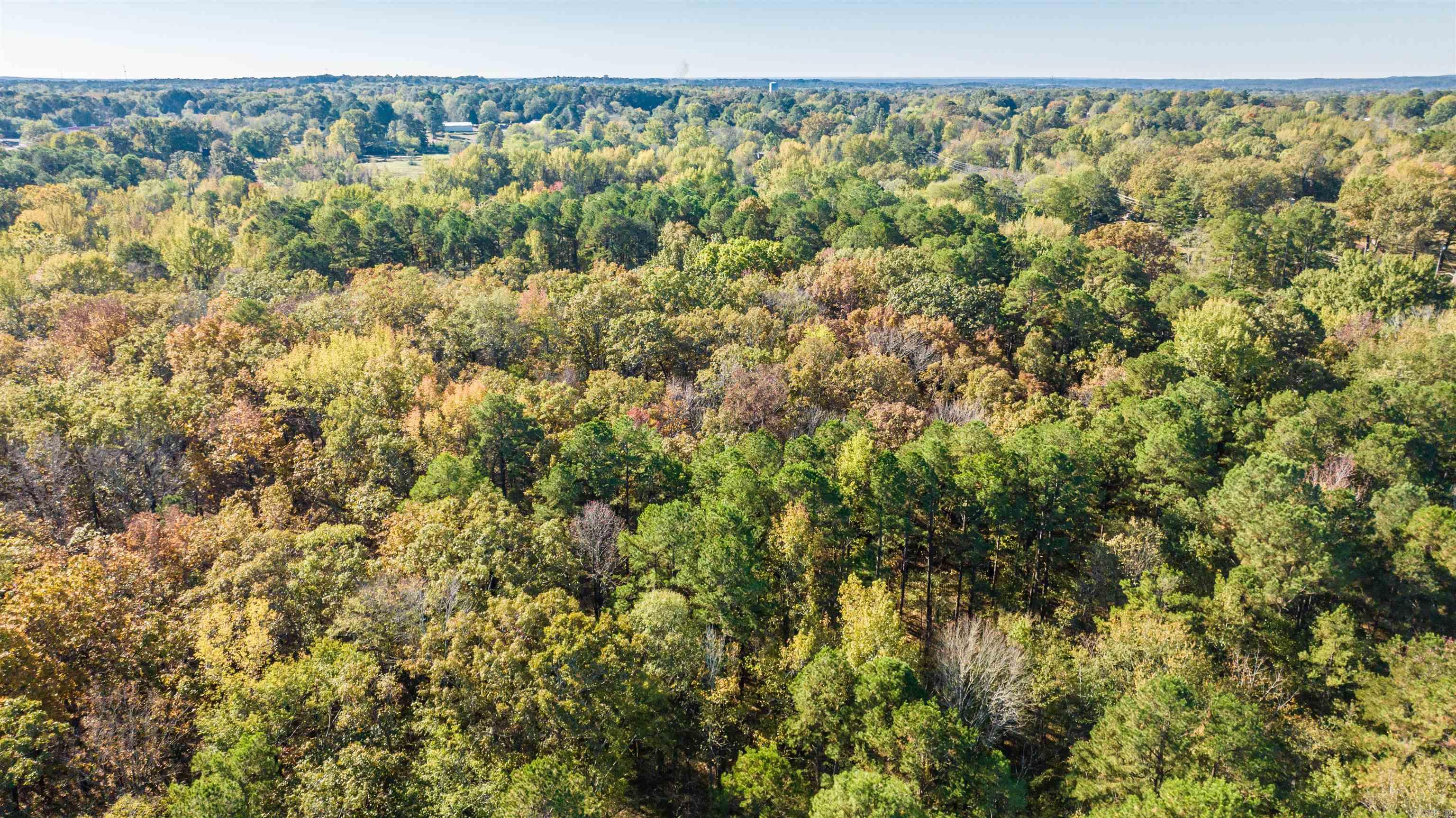 20 Acres  Congo  Benton, AR