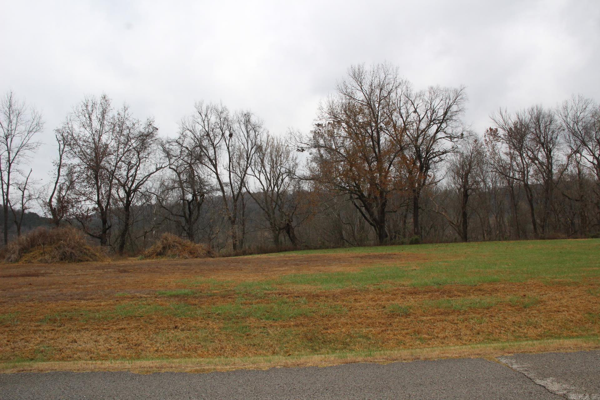Lot 17  Cane Island  Flippin, AR