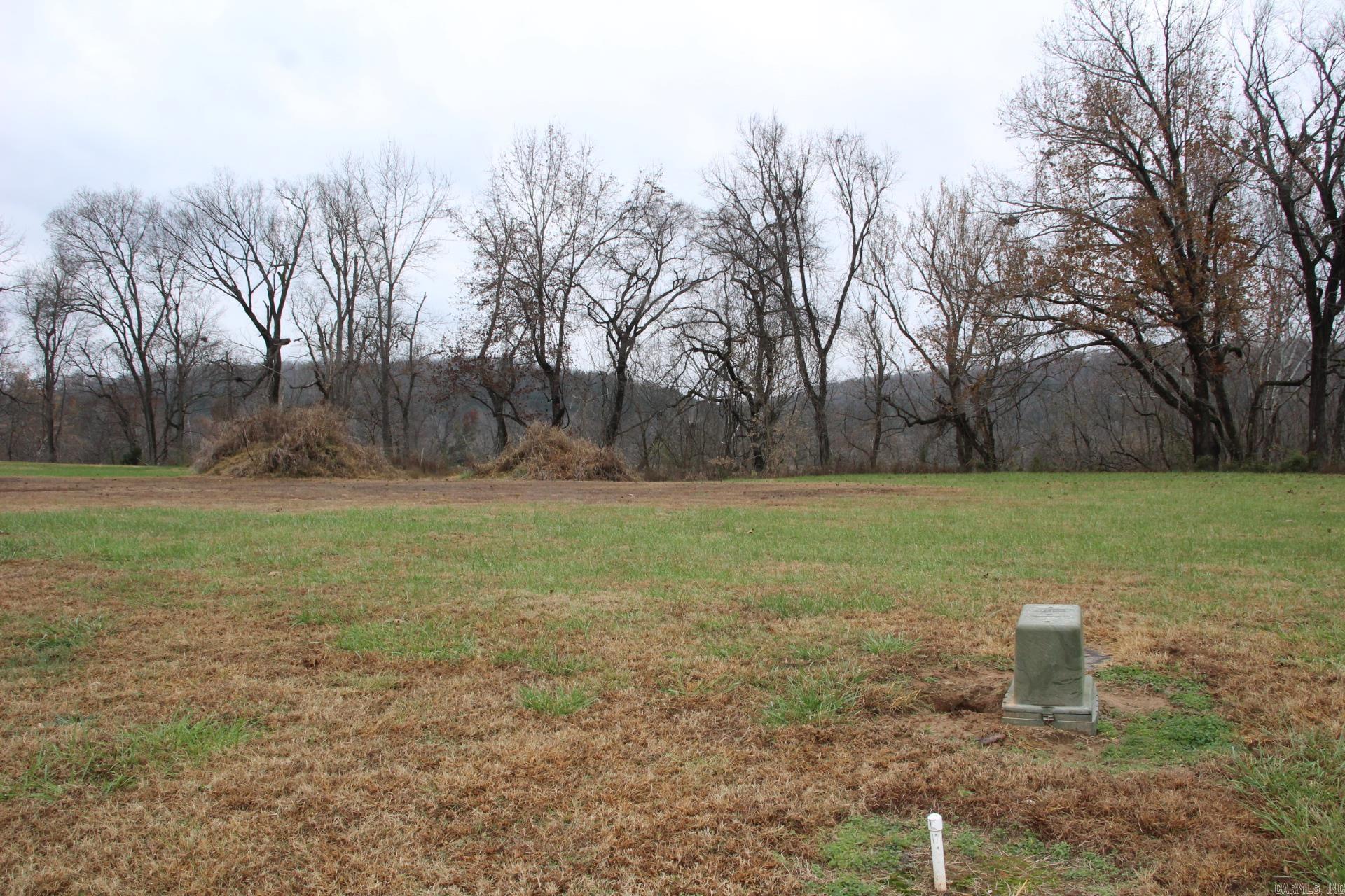 Lot 17  Cane Island  Flippin, AR