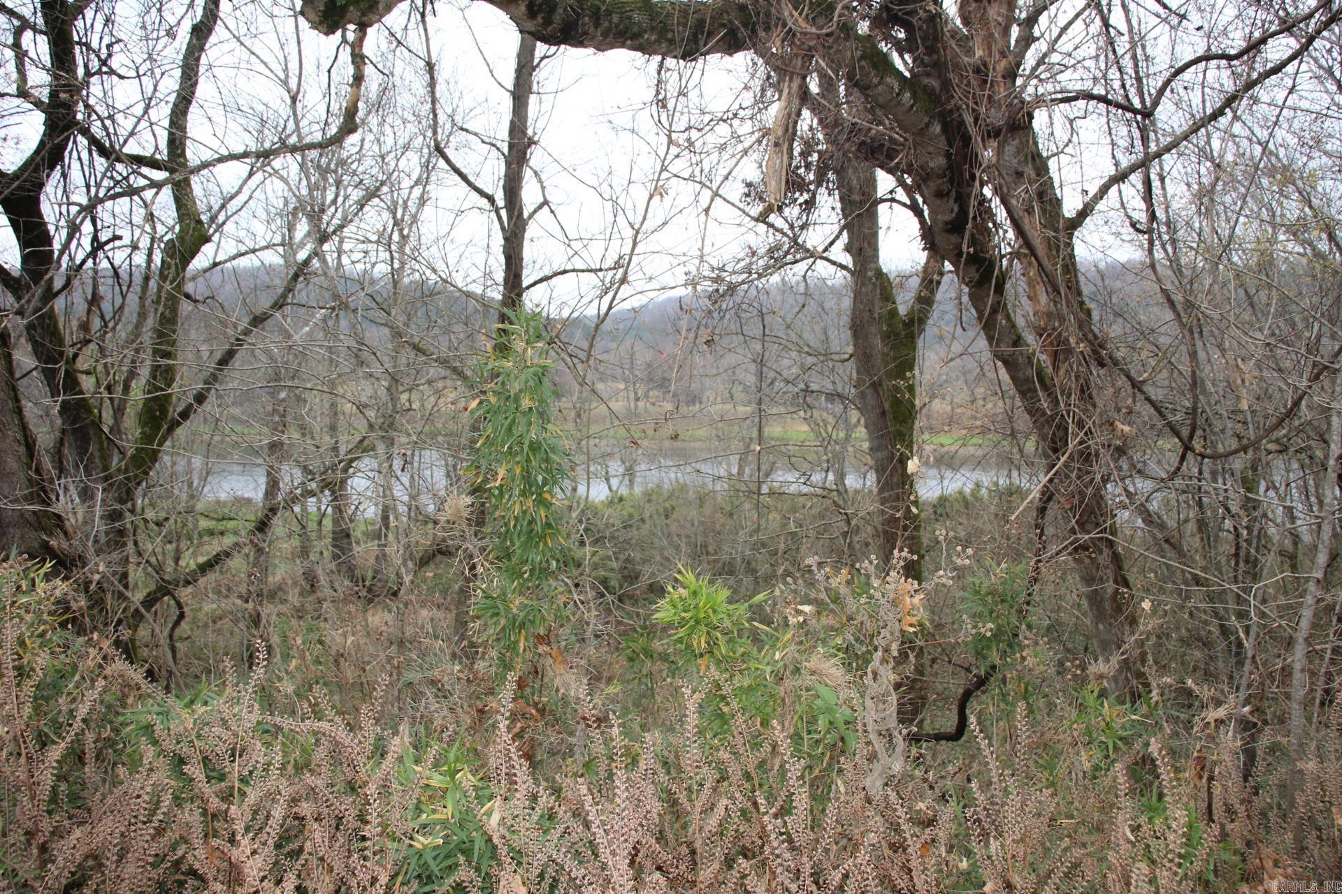Lot 17  Cane Island  Flippin, AR