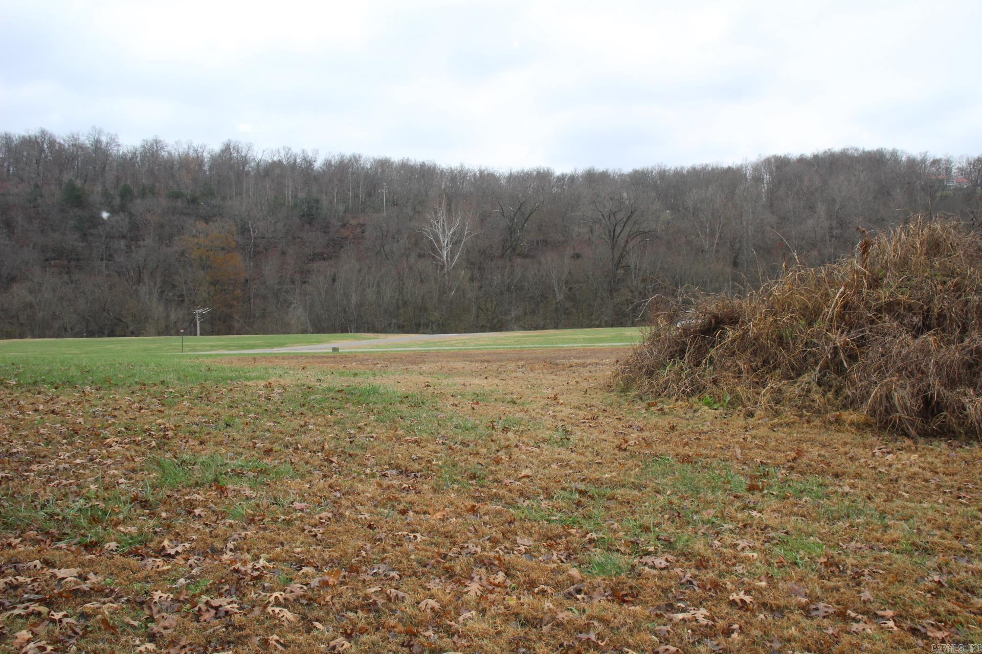 Lot 17  Cane Island  Flippin, AR