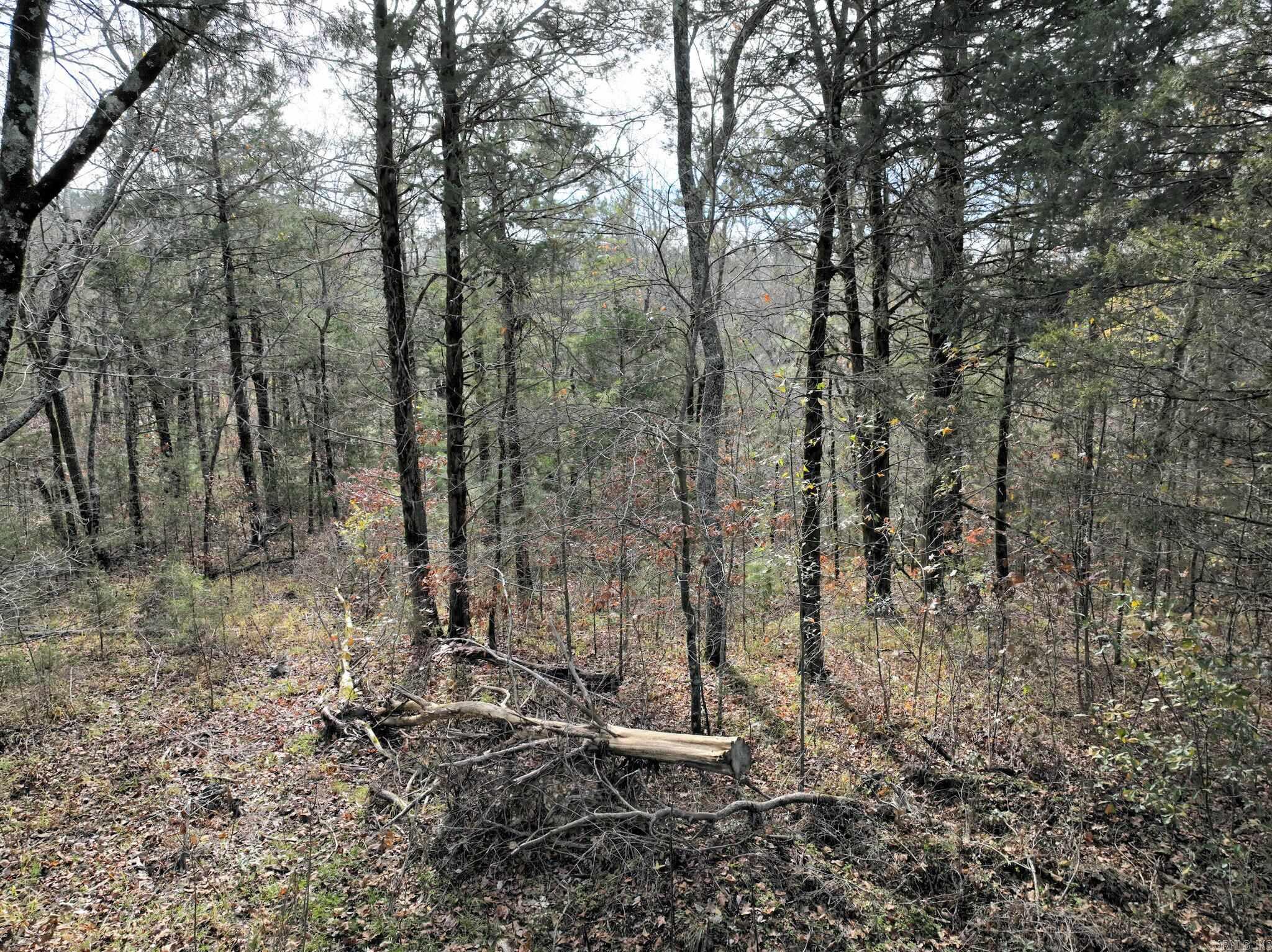 Tract 5  Acheson Lane  Mena, AR