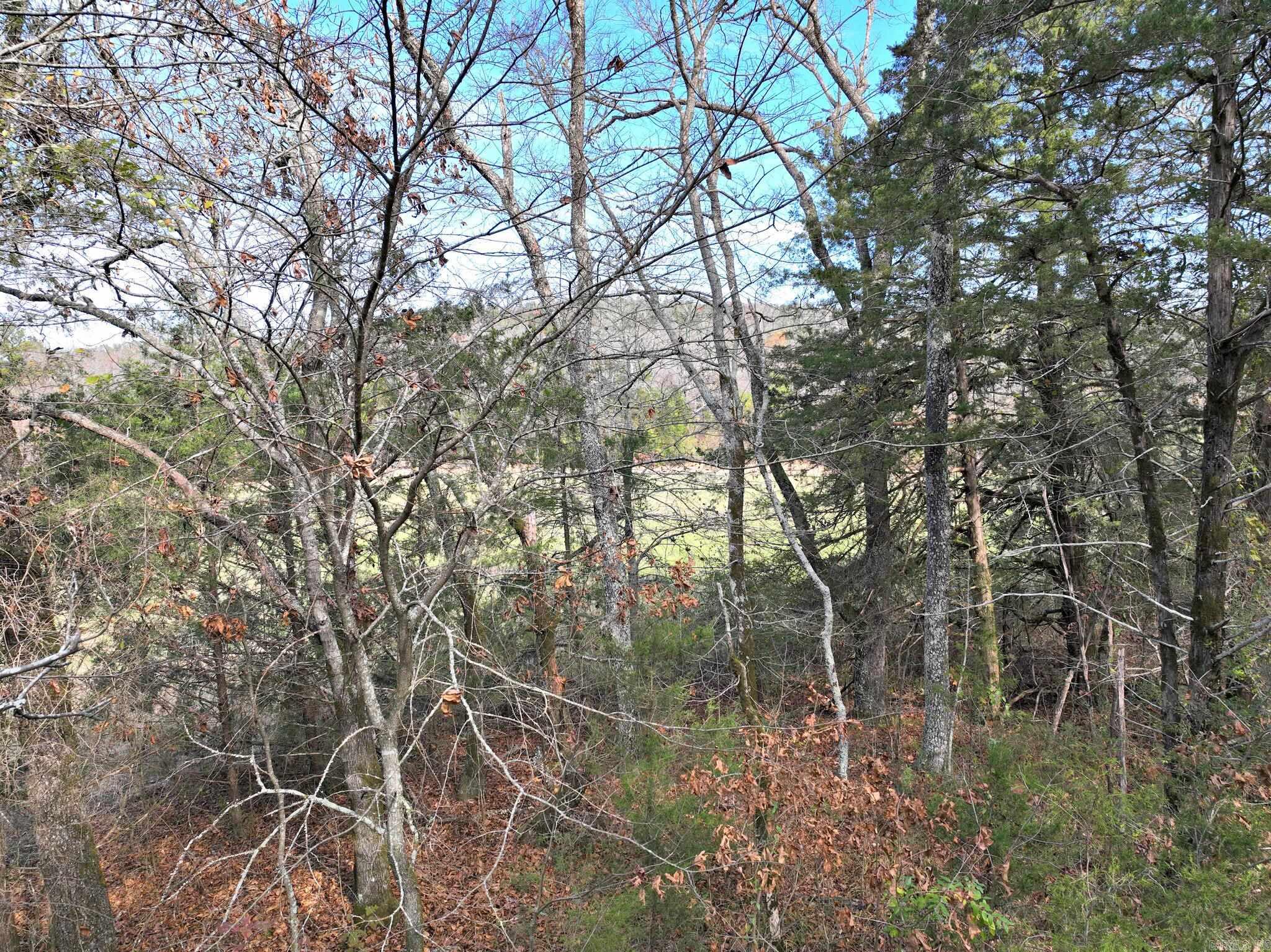 Tract 5  Acheson Lane  Mena, AR