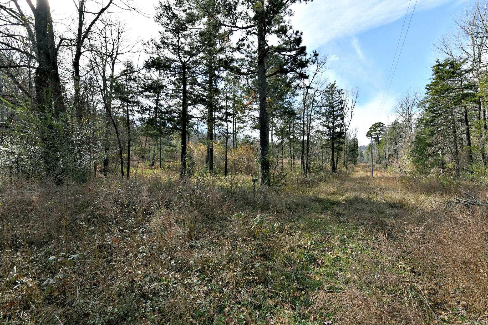Tract 5  Acheson Lane  Mena, AR