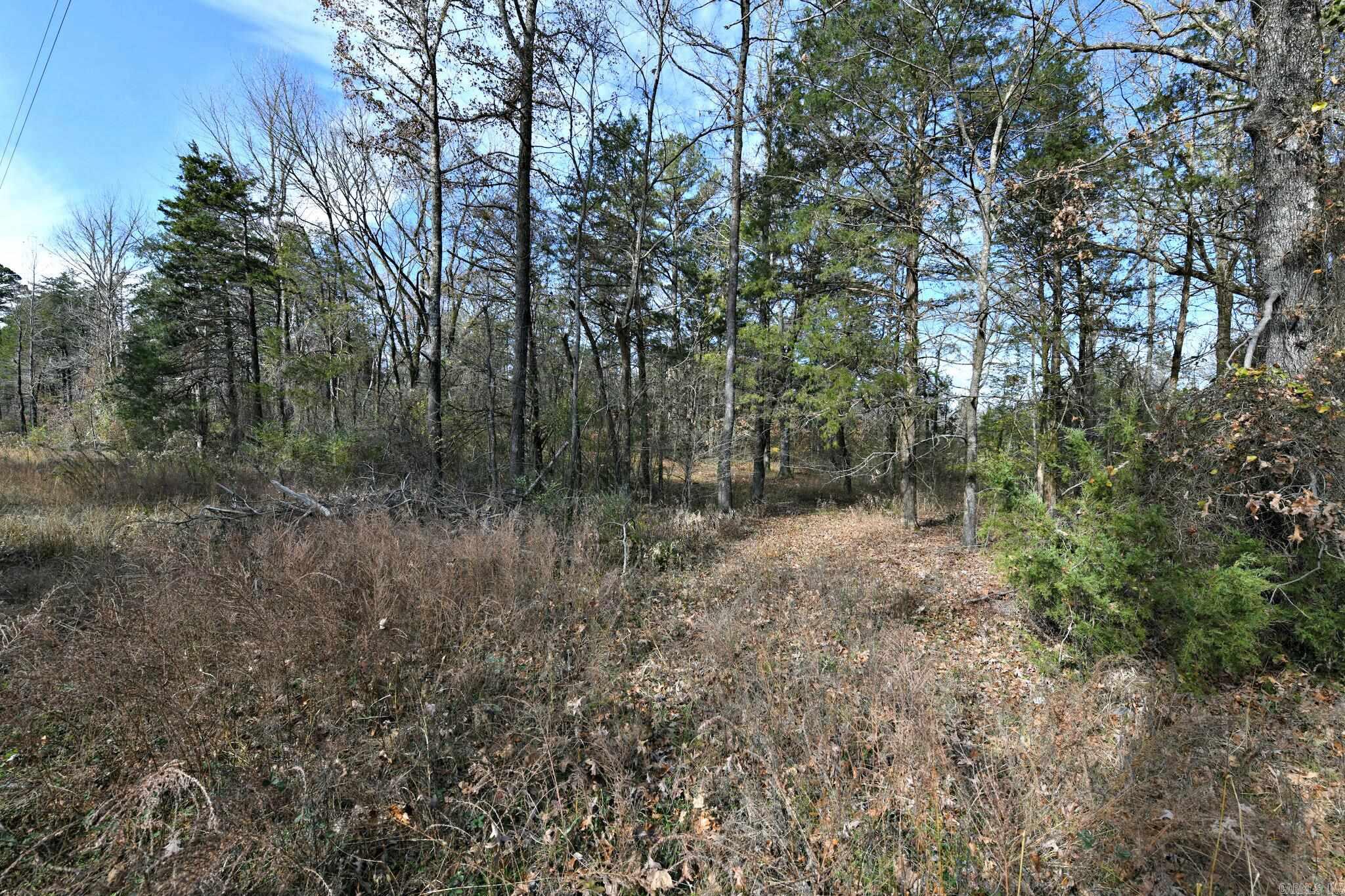 Tract 5  Acheson Lane  Mena, AR