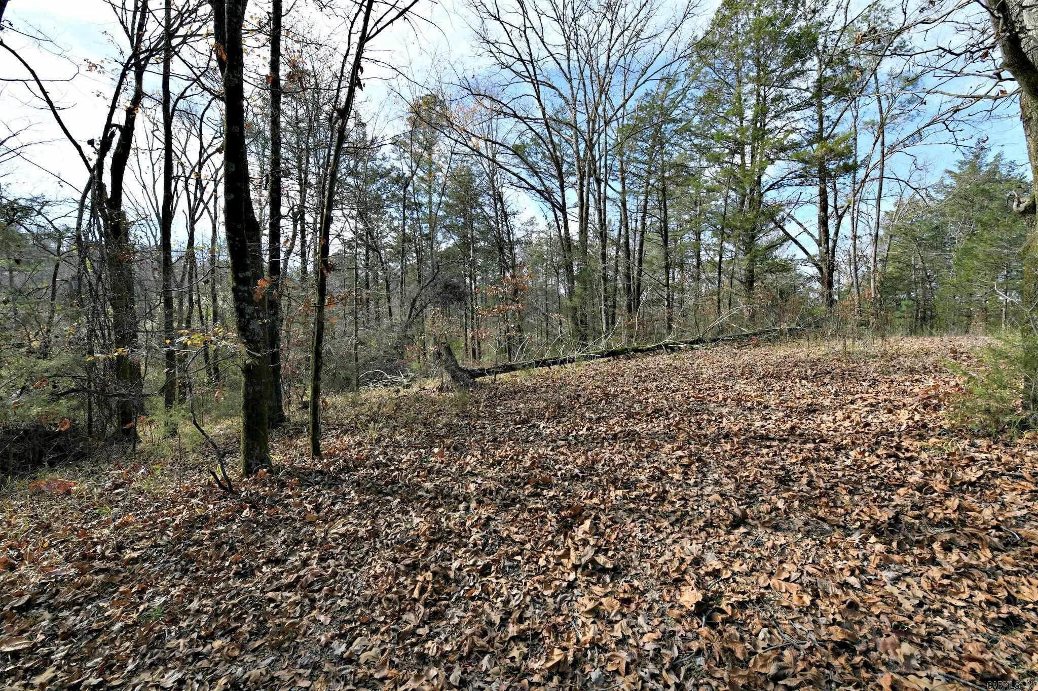 Tract 5  Acheson Lane  Mena, AR