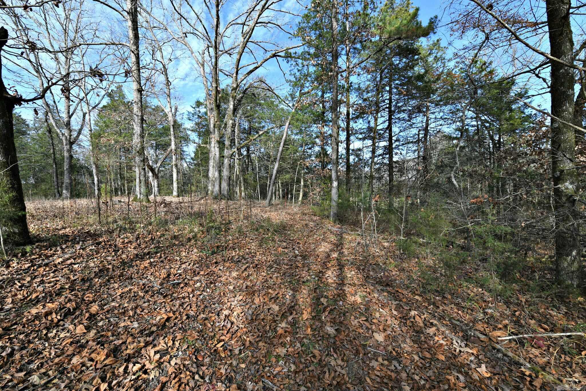 Tract 5  Acheson Lane  Mena, AR