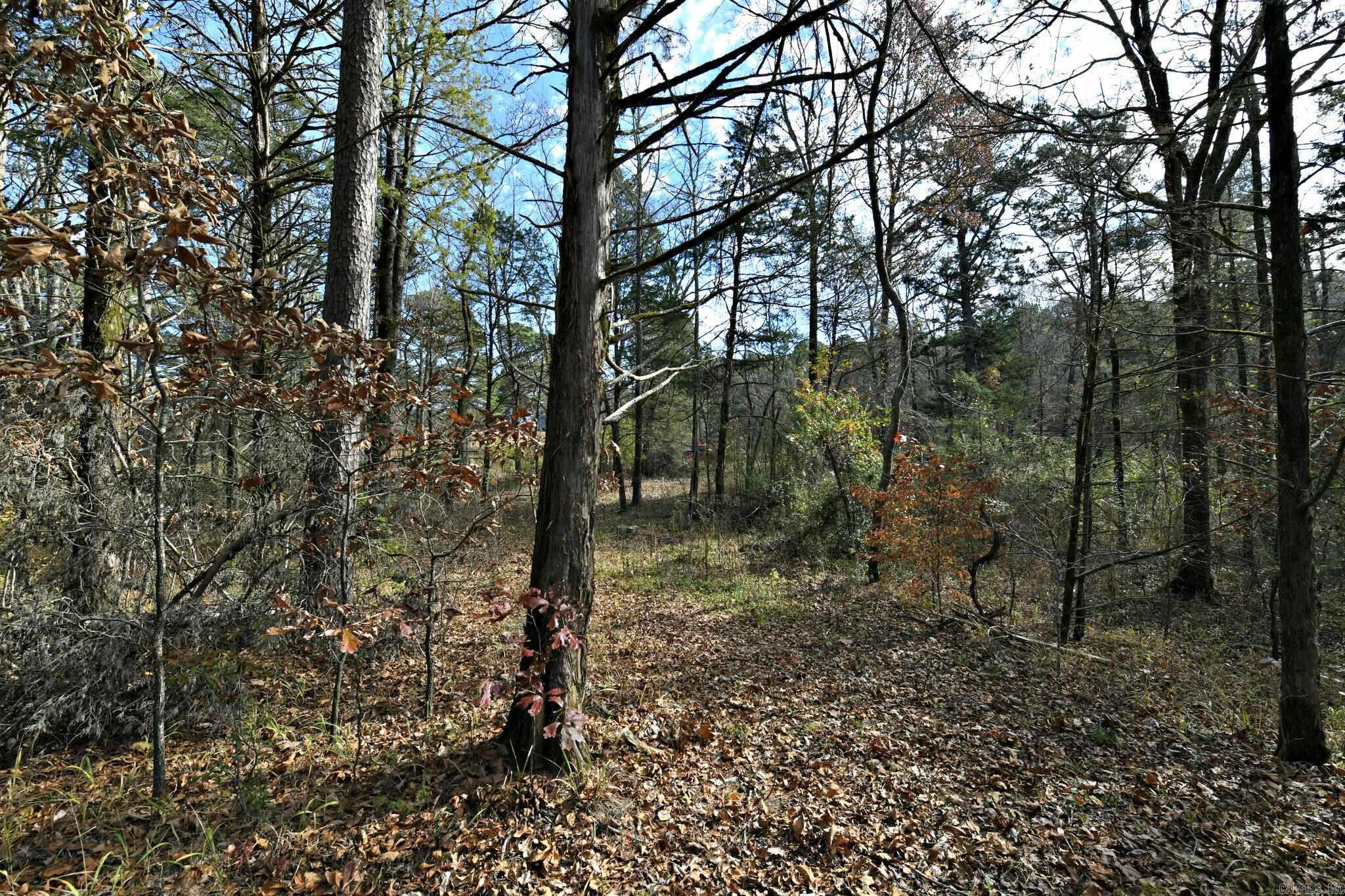 Tract 5  Acheson Lane  Mena, AR