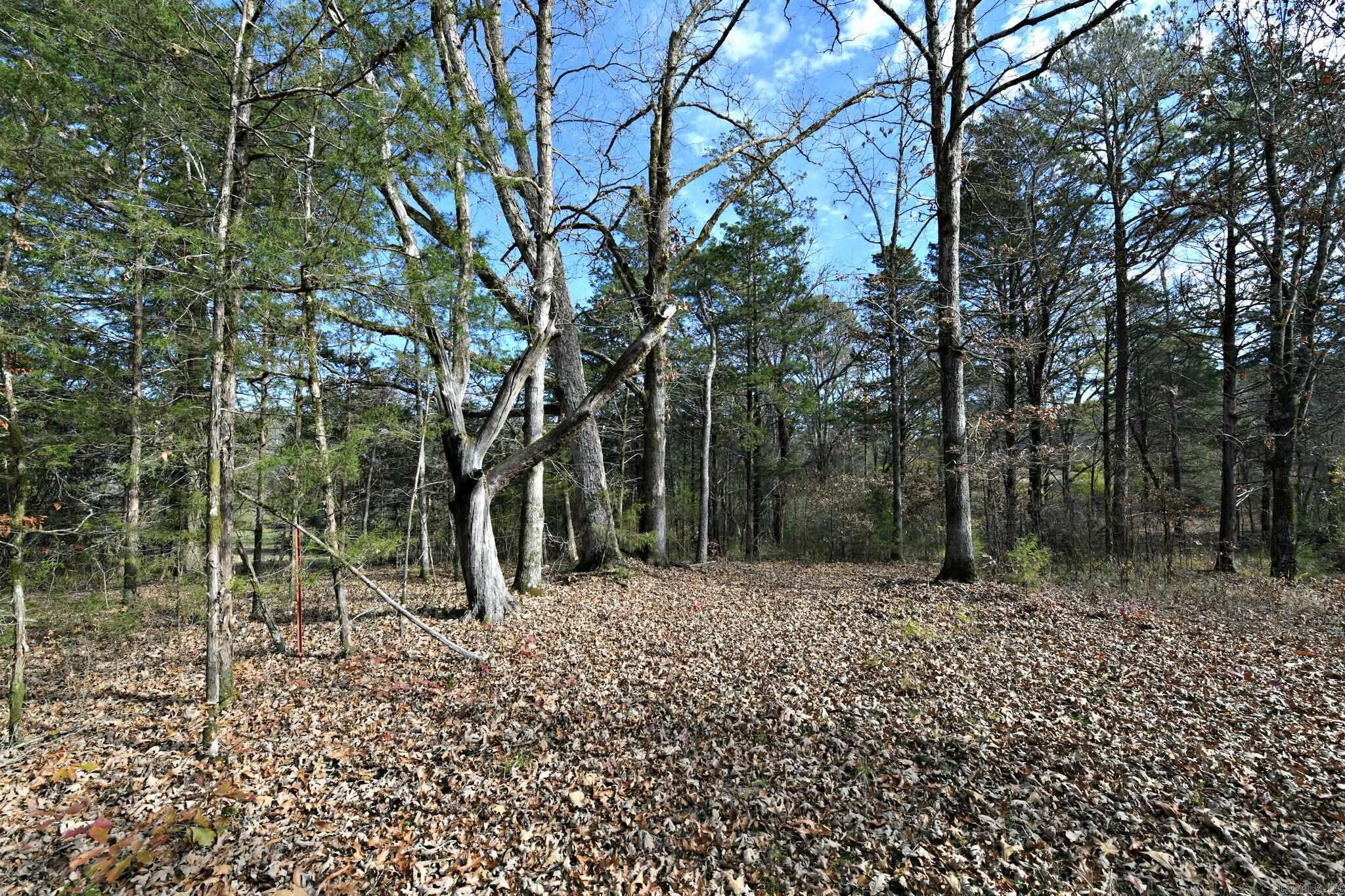 Tract 5  Acheson Lane  Mena, AR