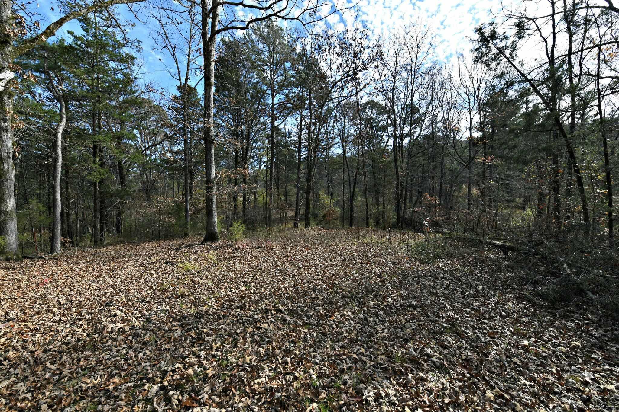 Tract 5  Acheson Lane  Mena, AR