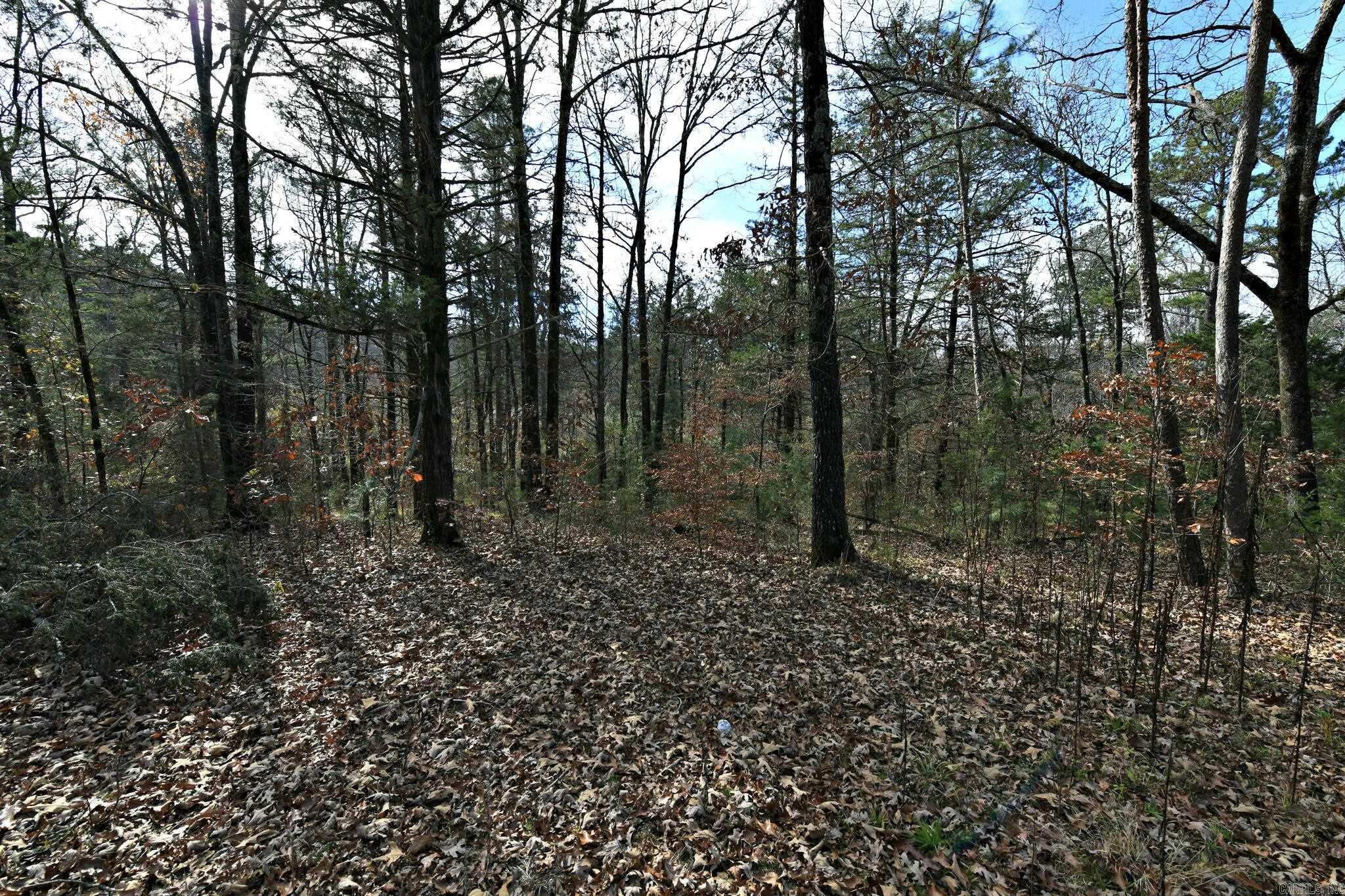 Tract 5  Acheson Lane  Mena, AR