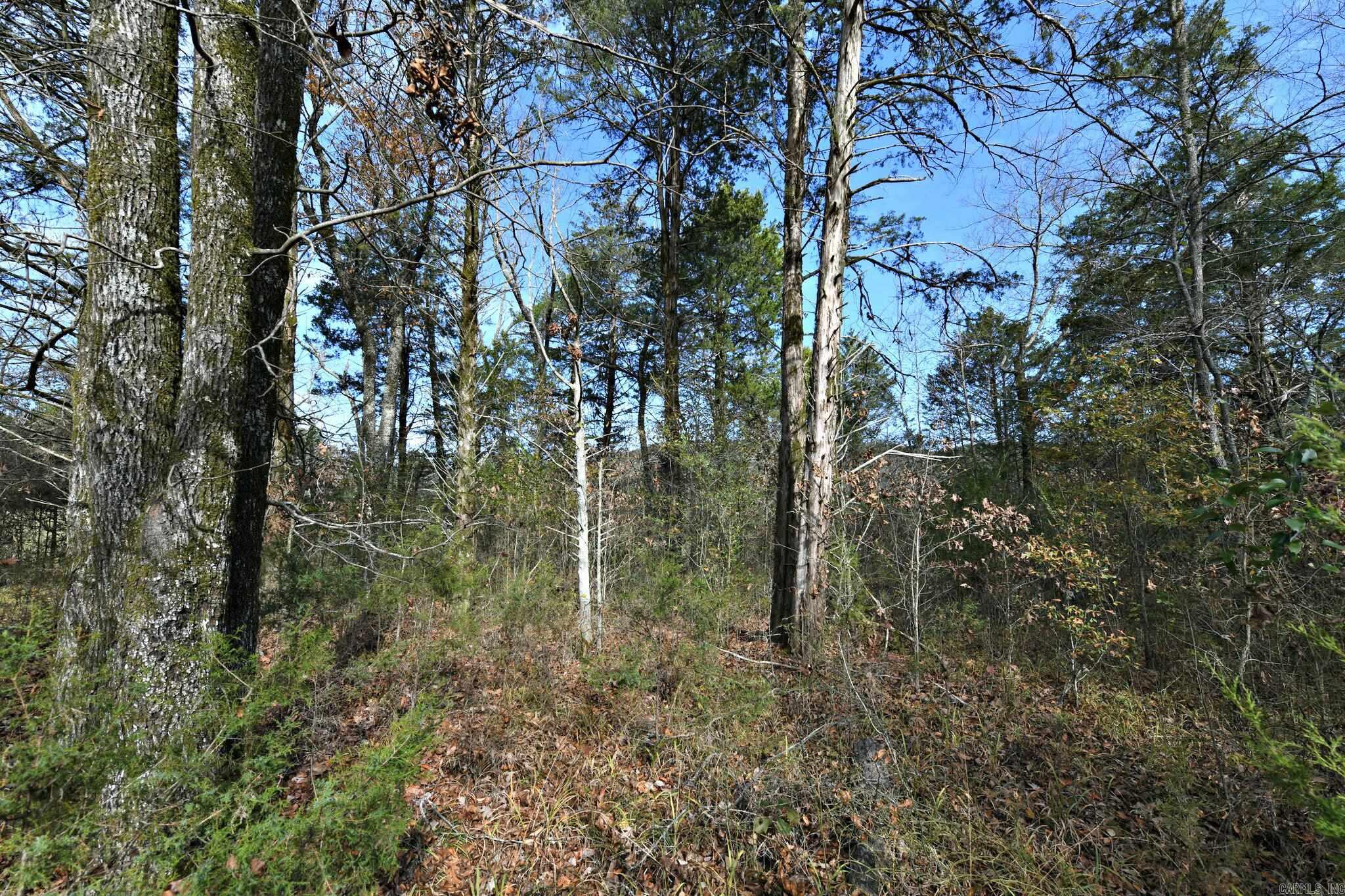 Tract 5  Acheson Lane  Mena, AR