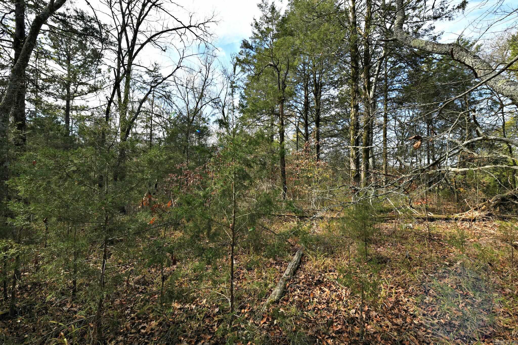 Tract 5  Acheson Lane  Mena, AR