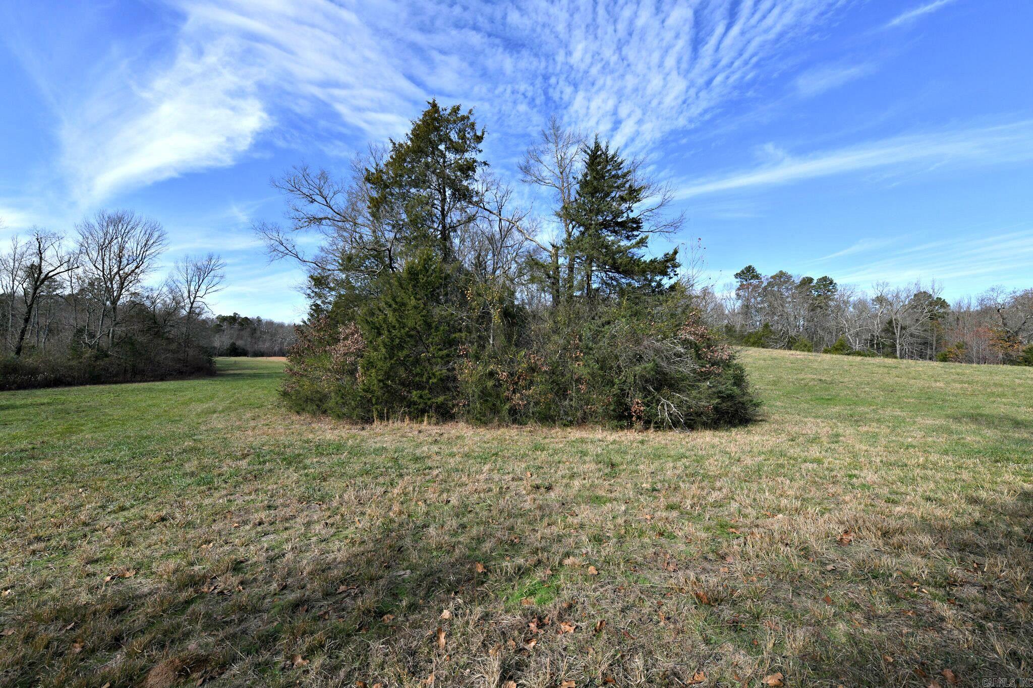 Tract 5  Acheson Lane  Mena, AR