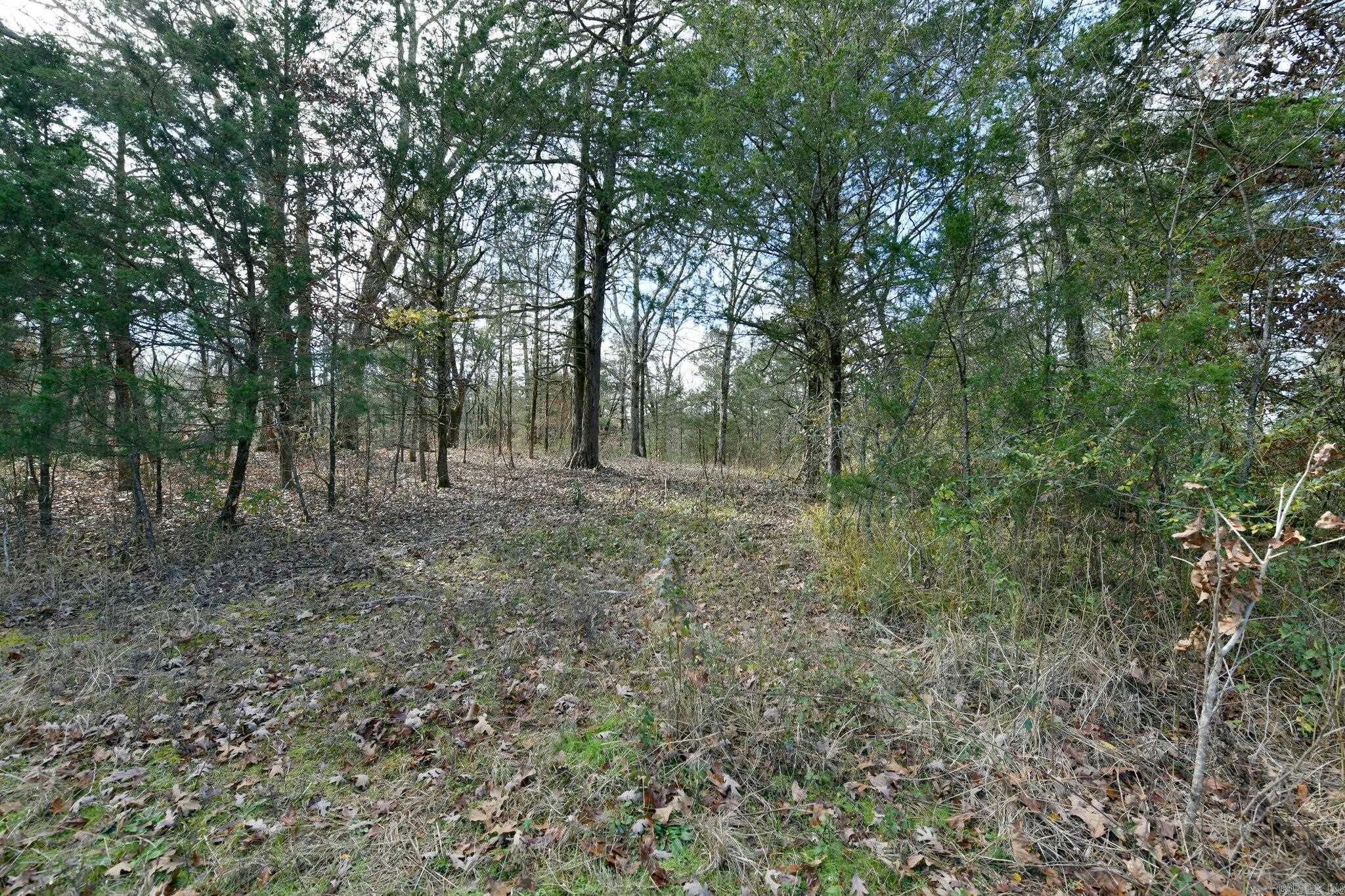 Tract 5  Acheson Lane  Mena, AR